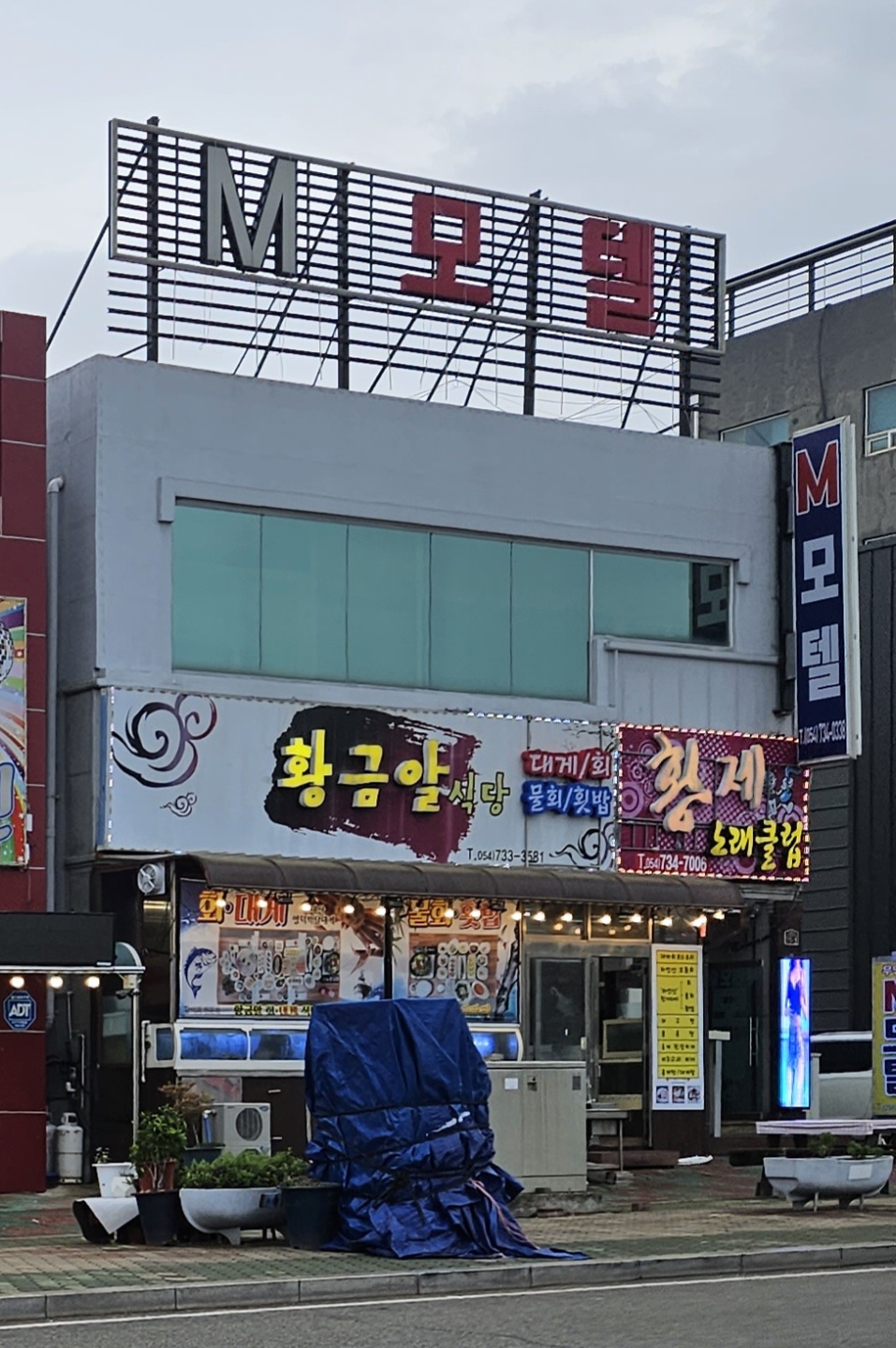 황금알식당