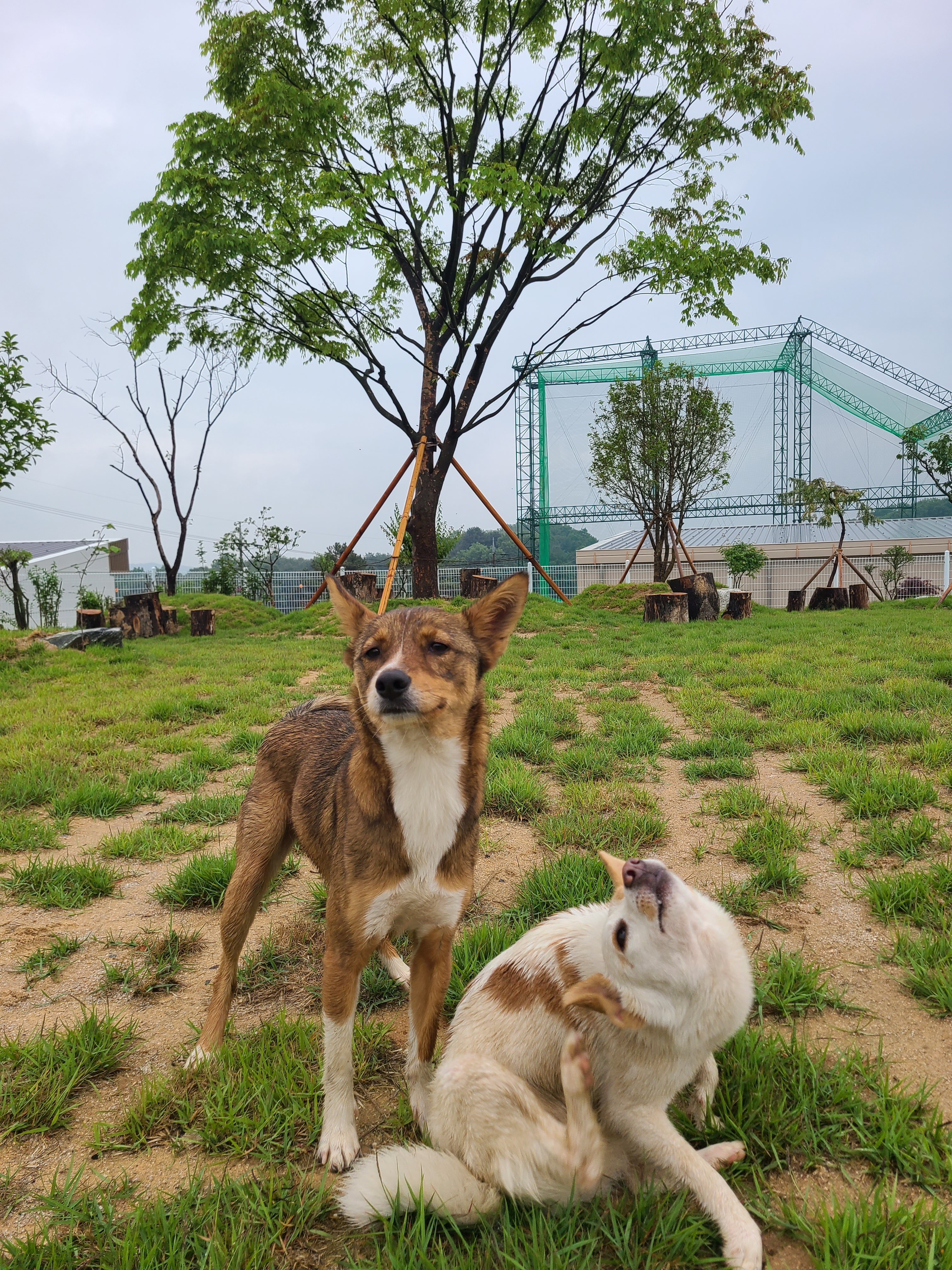 무구순구 2