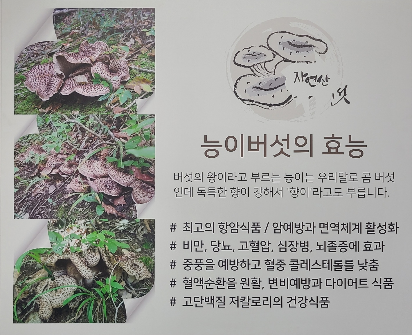 한국의맛 장수촌