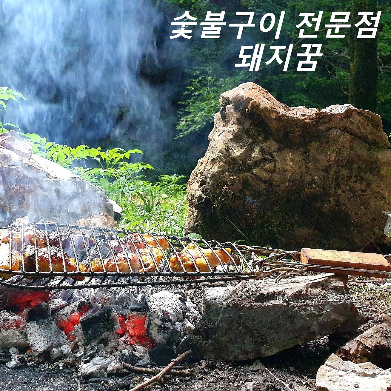 돼지꿈