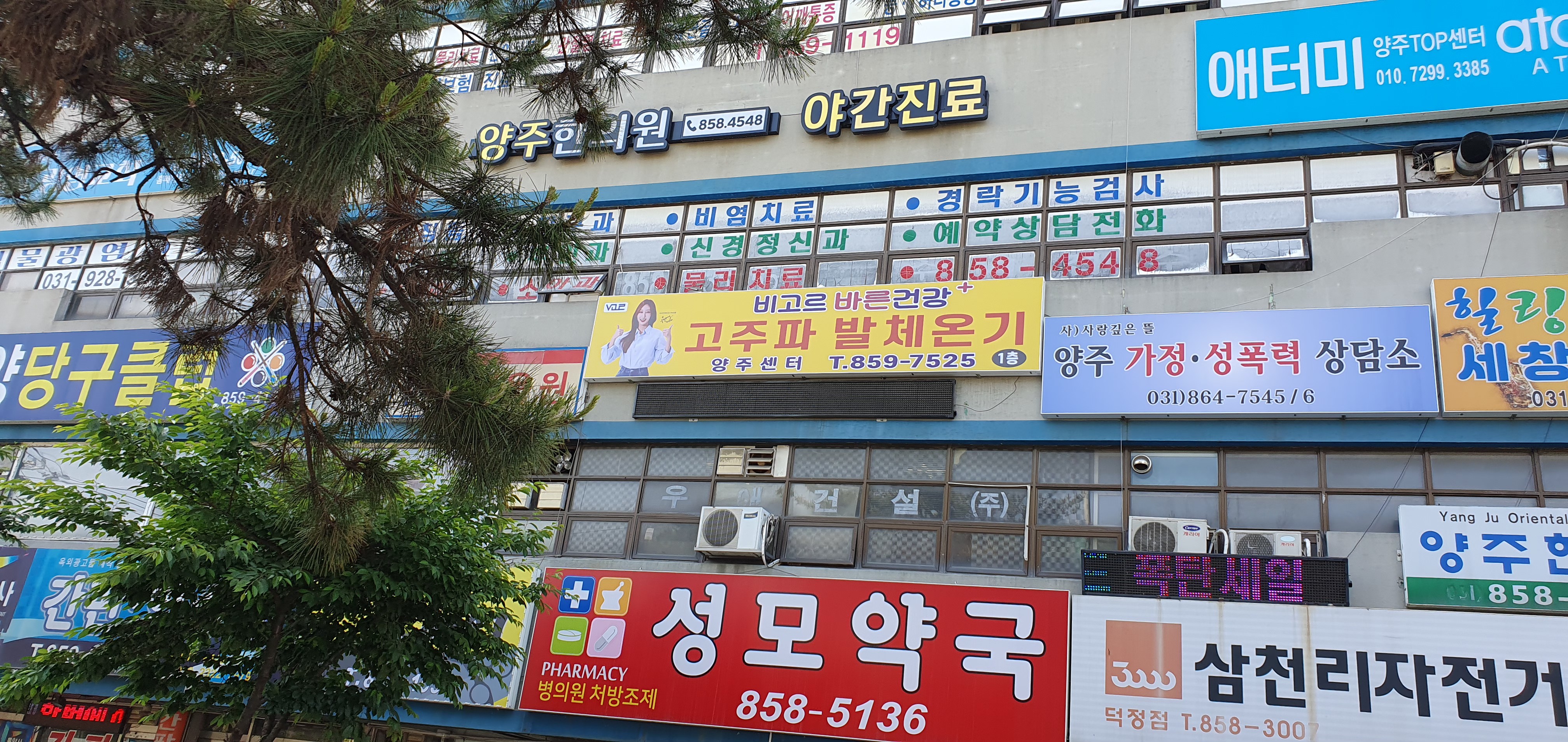 비고르바른건강 양주지사
