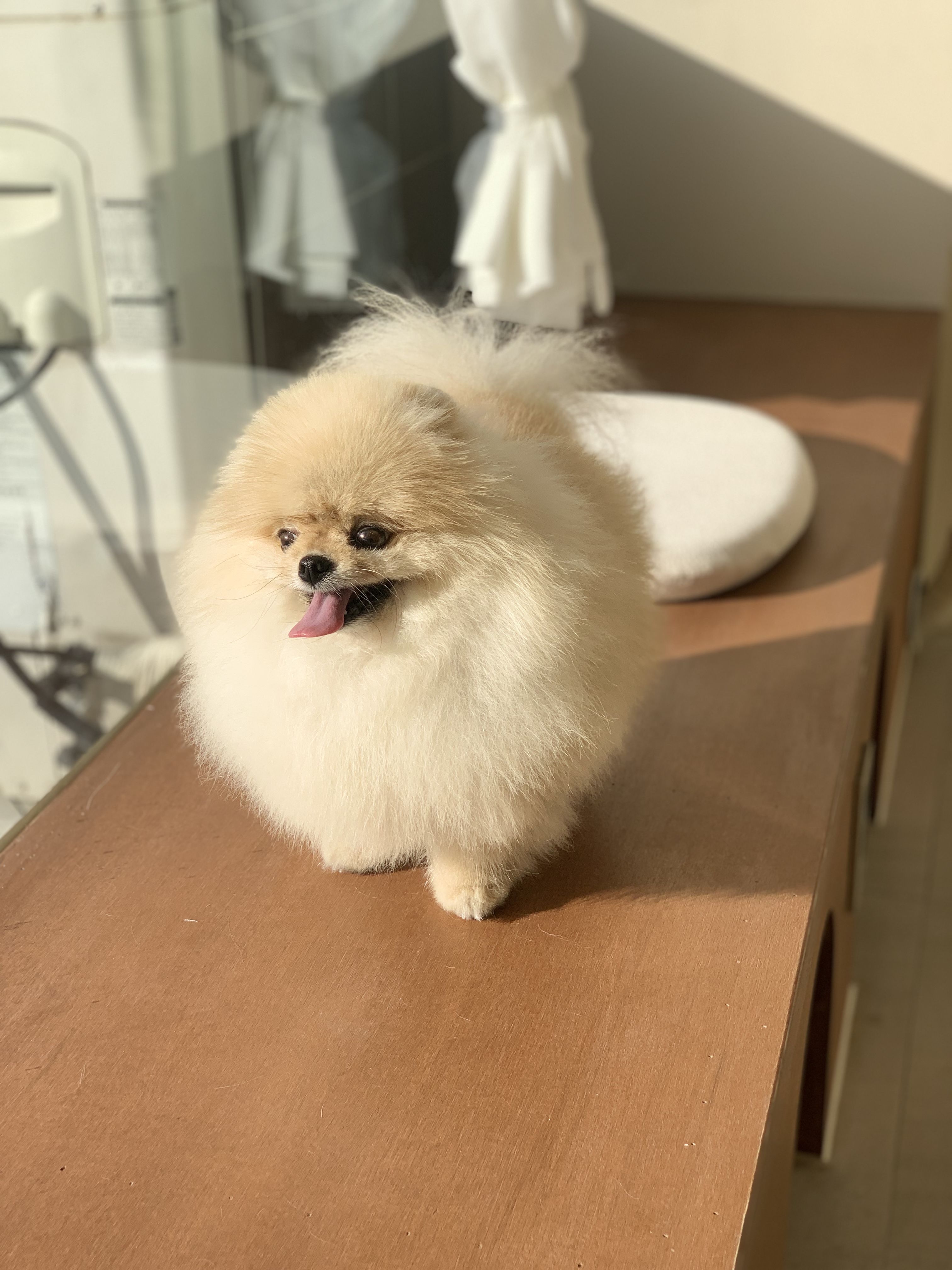 그루밍 친친 대표 이미지