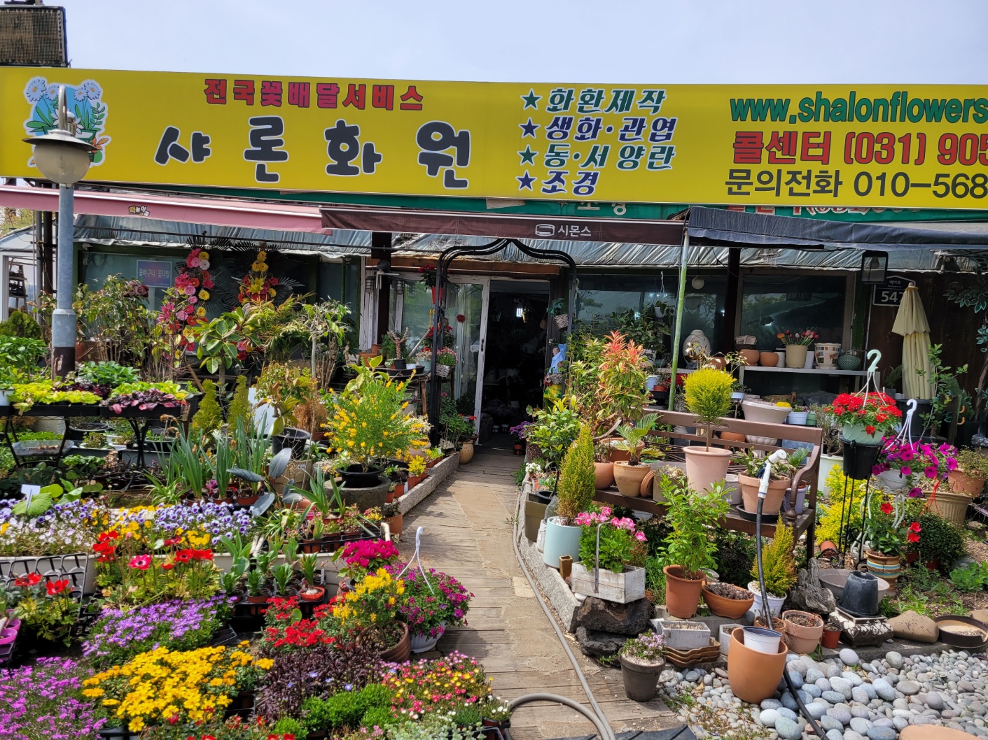 샤론화원
