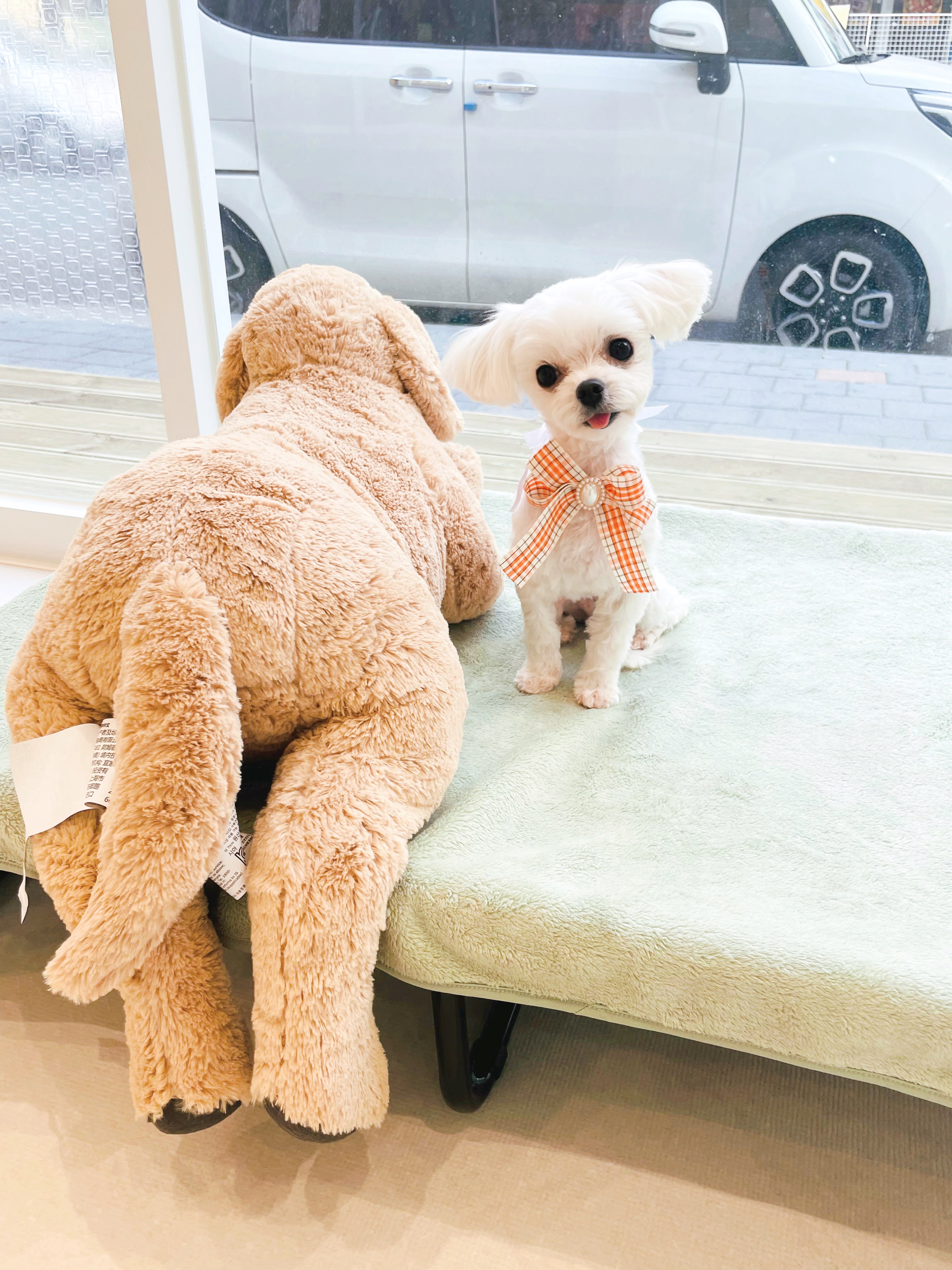 몽쥬르 대표 이미지