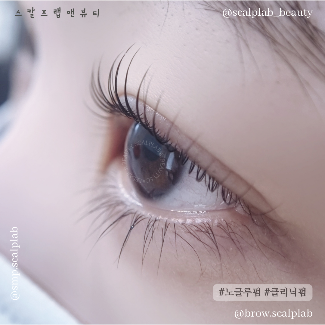 스칼프랩앤뷰티