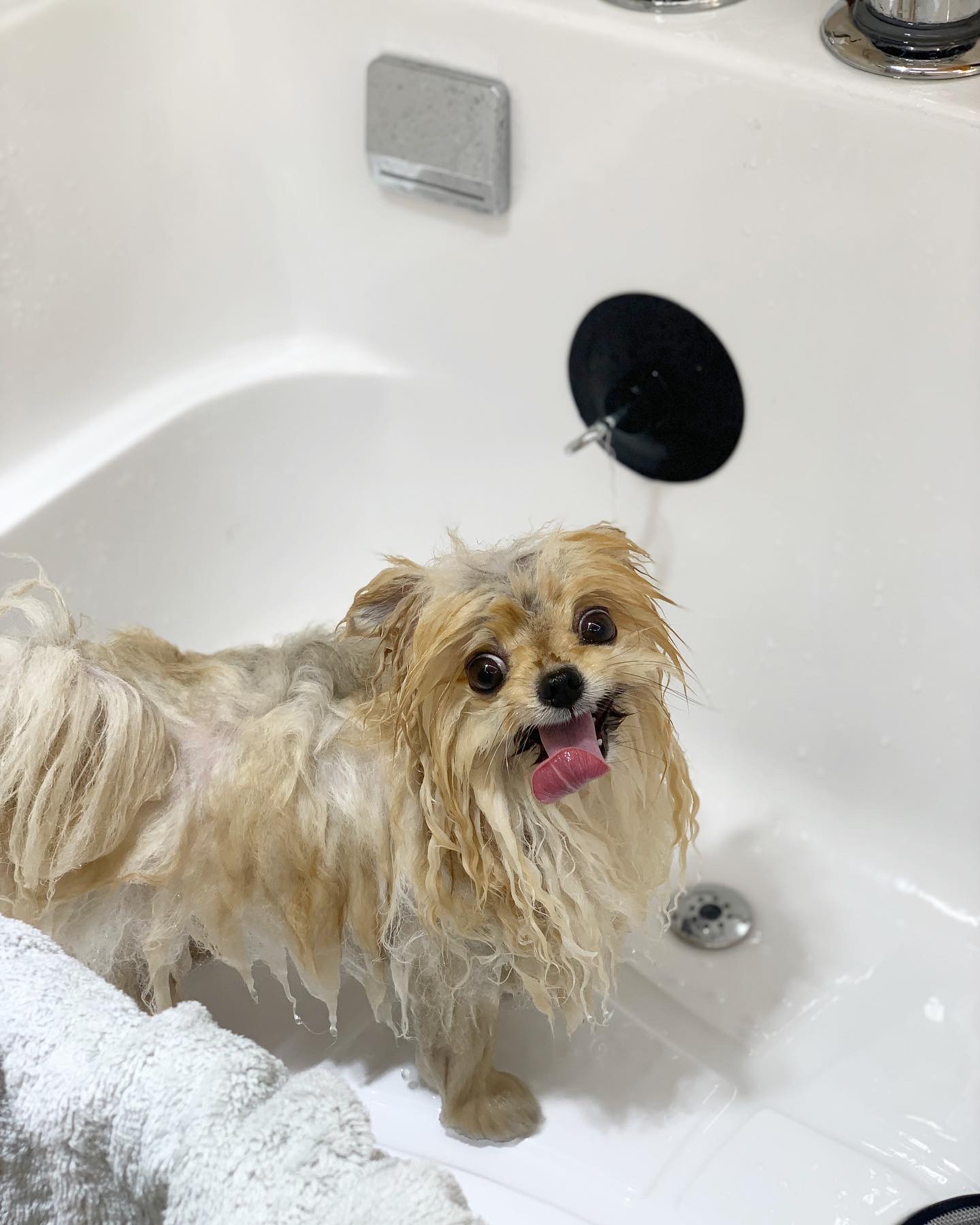 그루밍 친친 대표 이미지