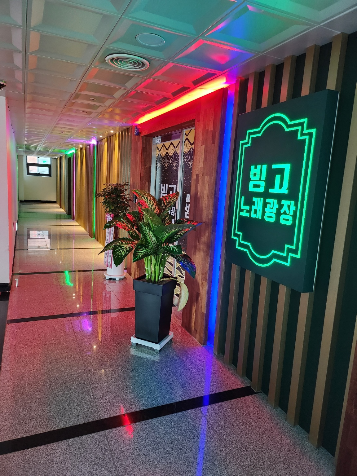 빙고노래광장