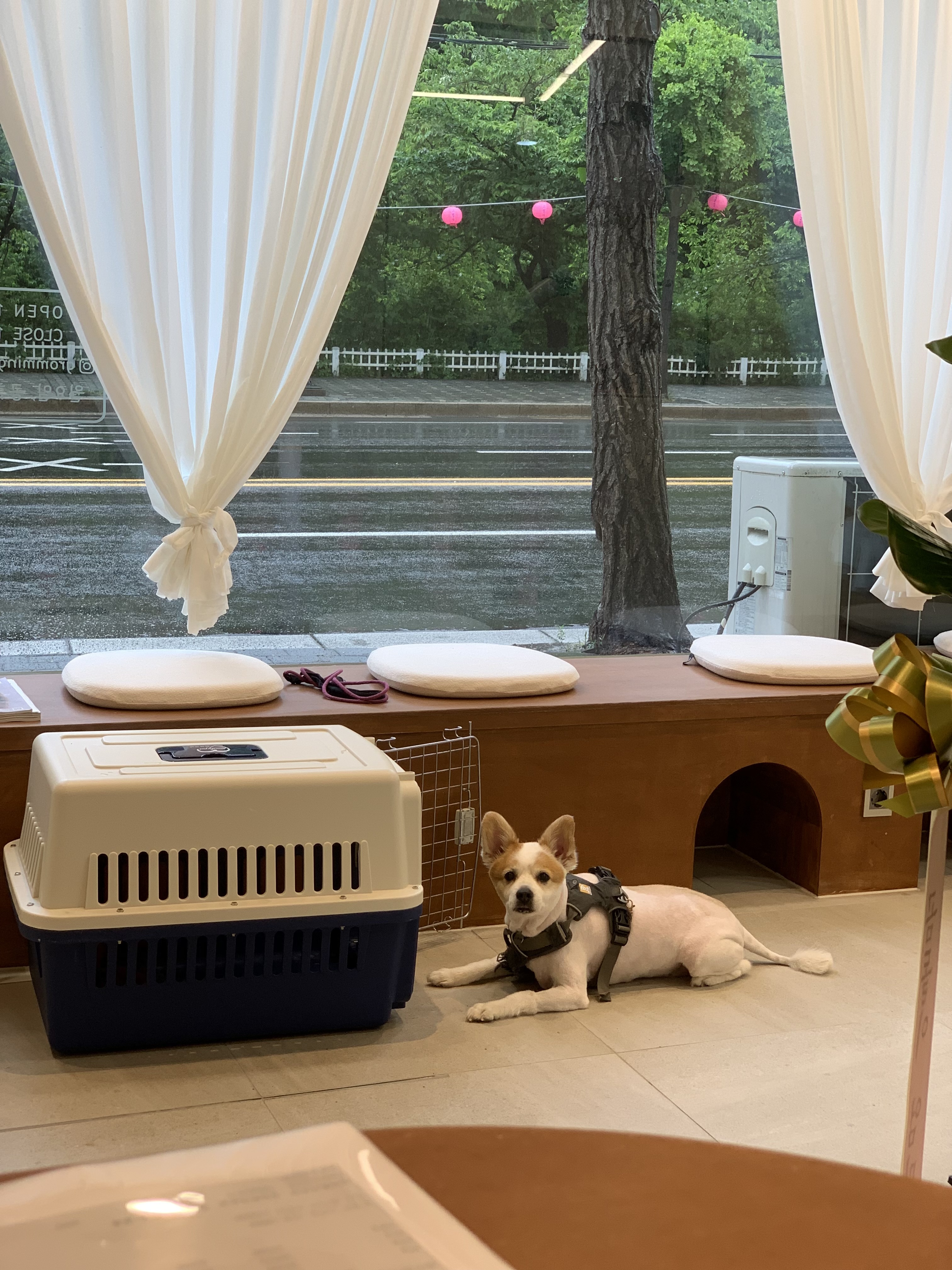 그루밍 친친 대표 이미지