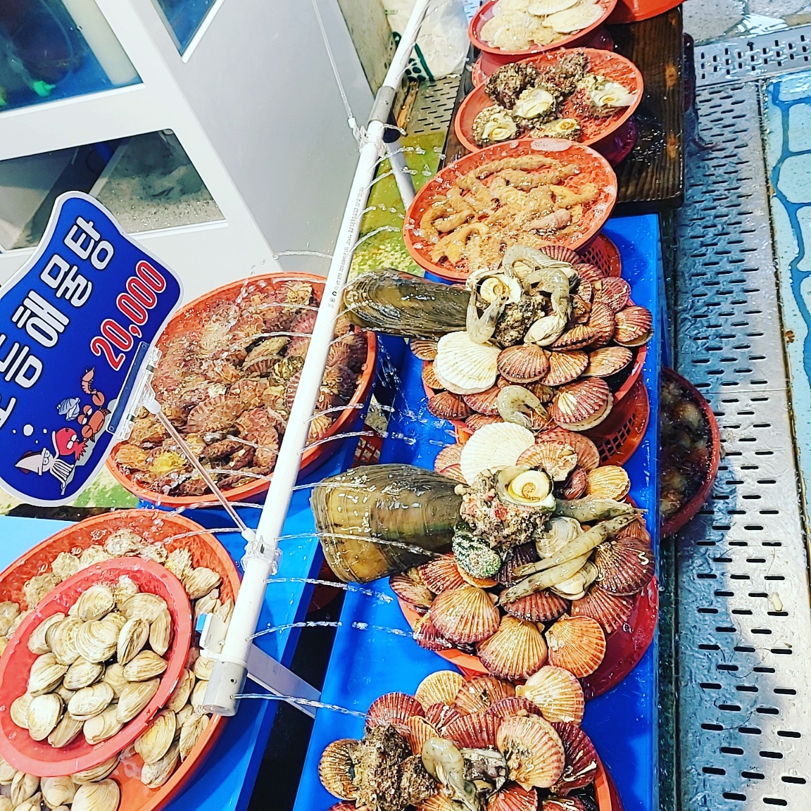 삼천포 용궁수산시장 해물나라