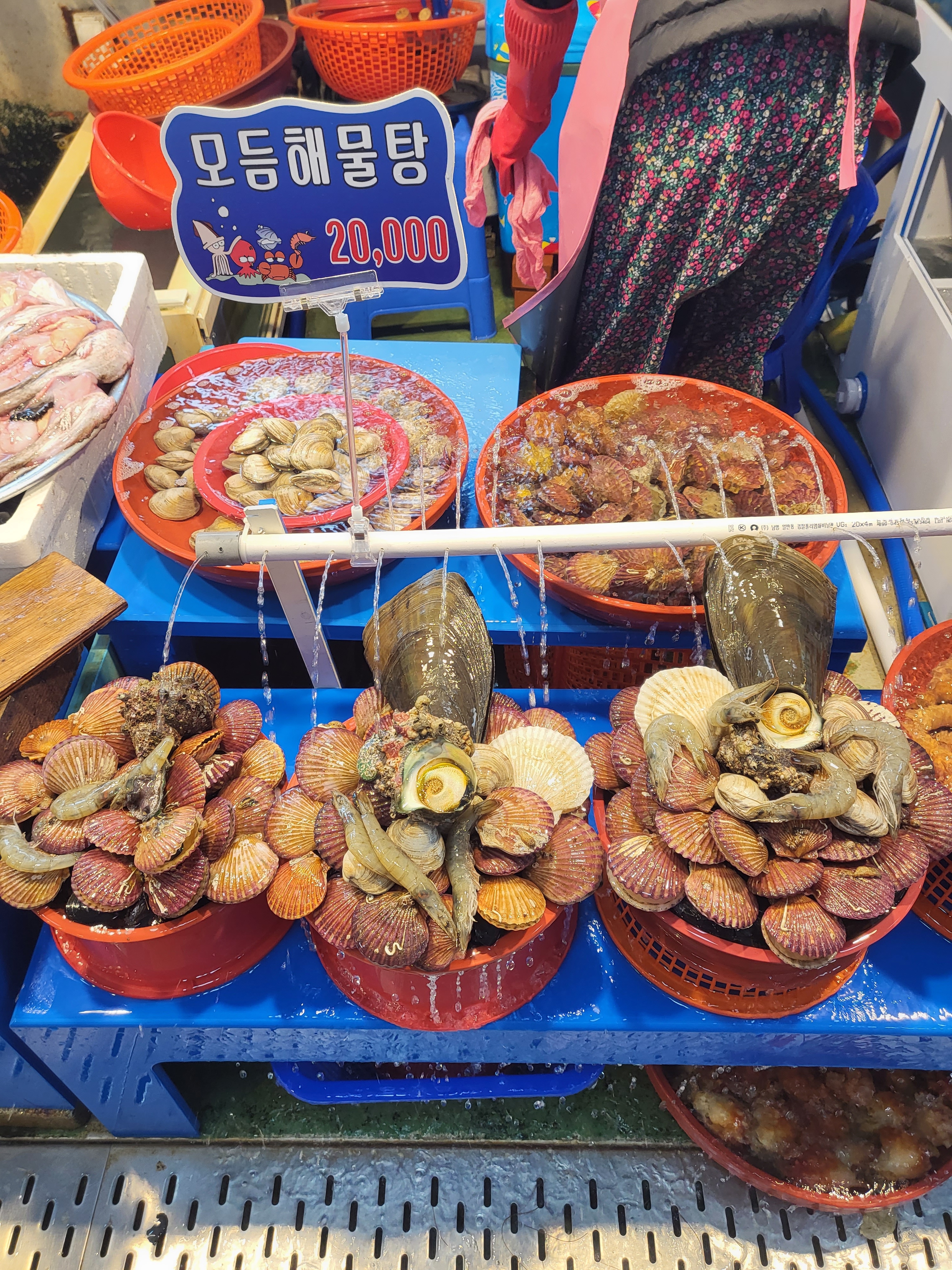 삼천포 용궁수산시장 해물나라