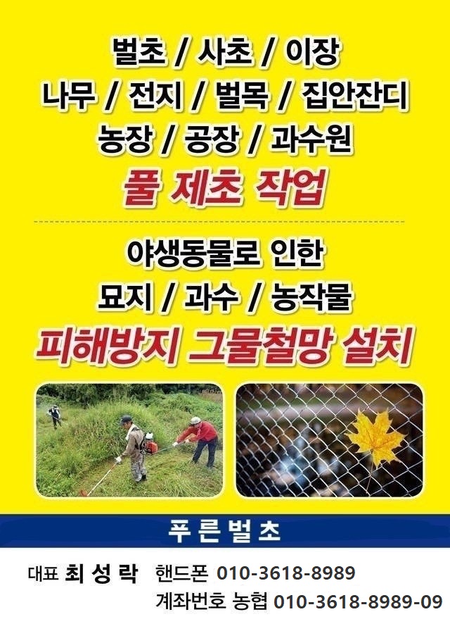 푸른벌초