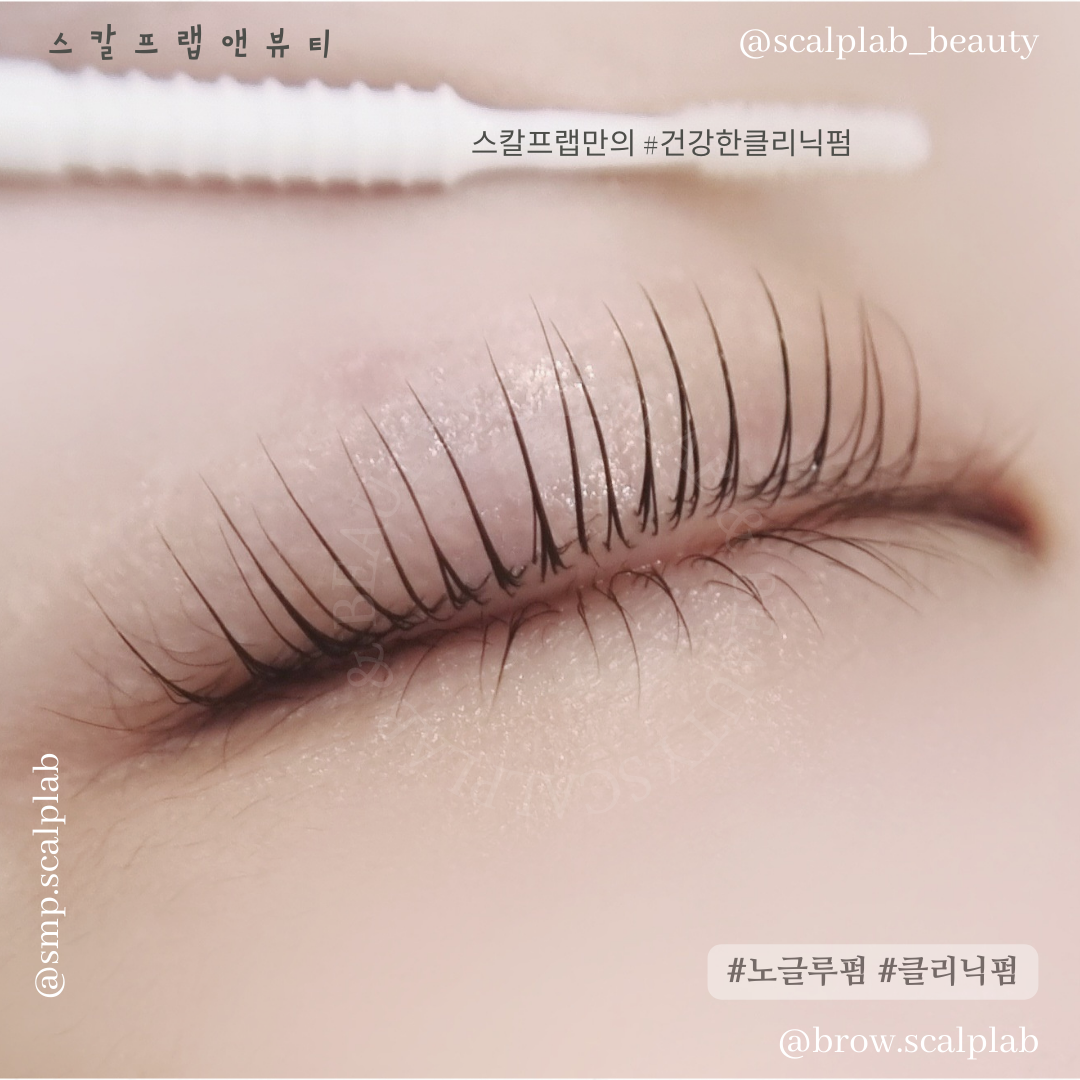 스칼프랩앤뷰티