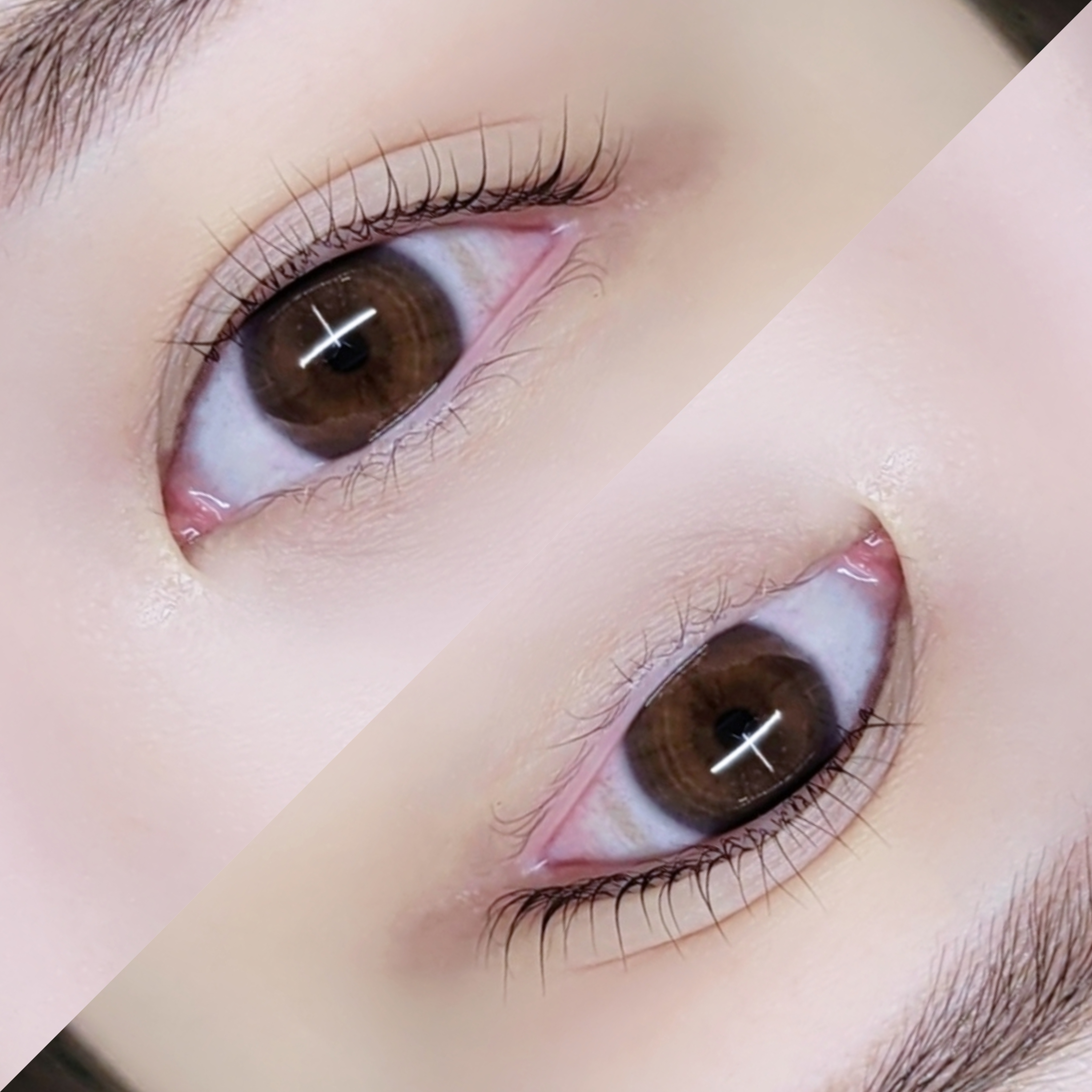 디에이샵 대표 이미지