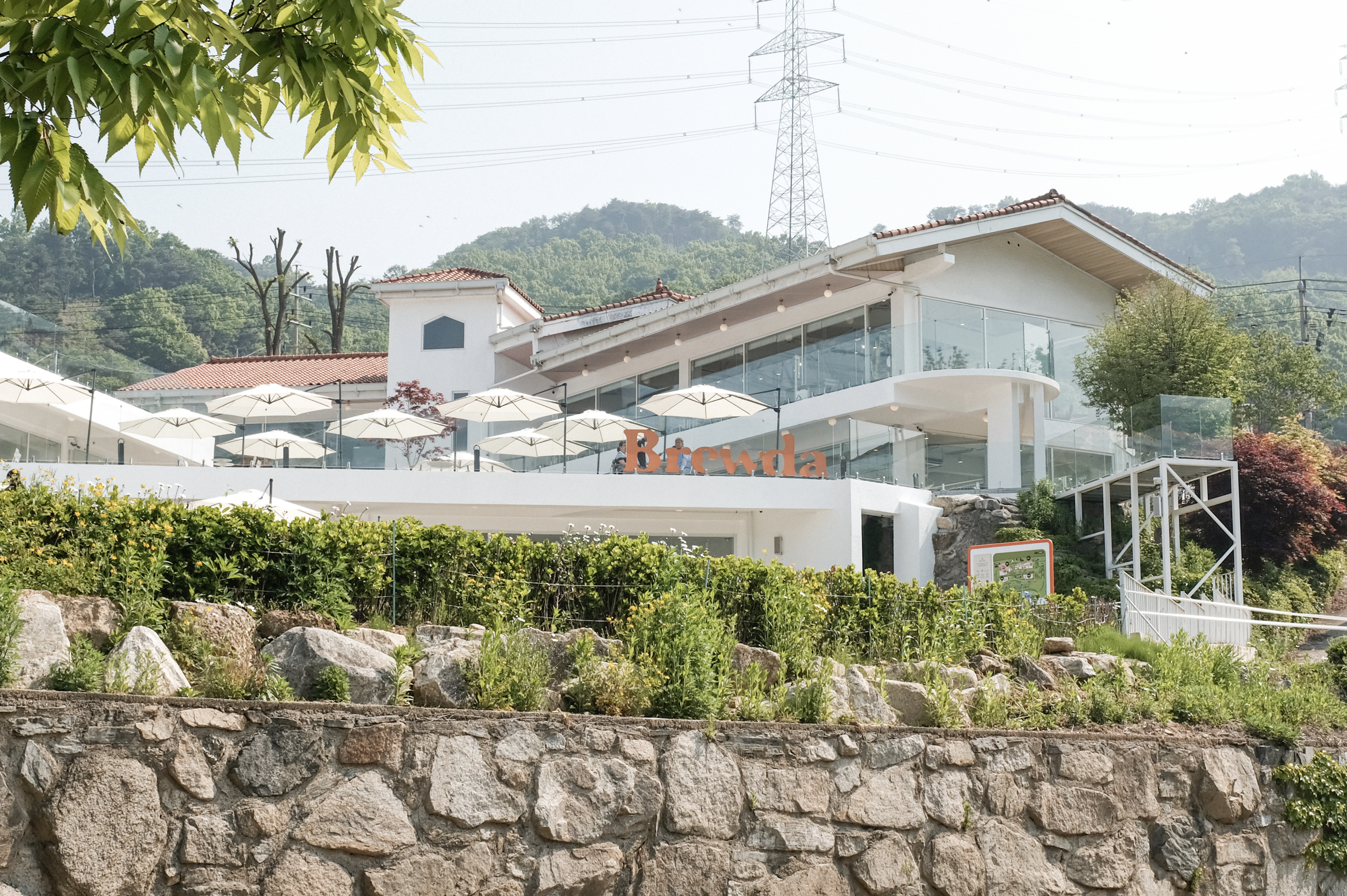 브루다 양주 경기 애견카페