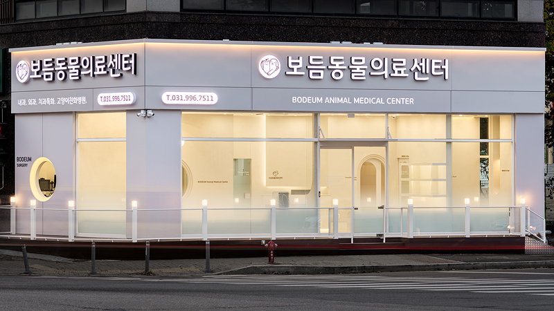 보듬동물의료센터 내부 또는 관련 모습