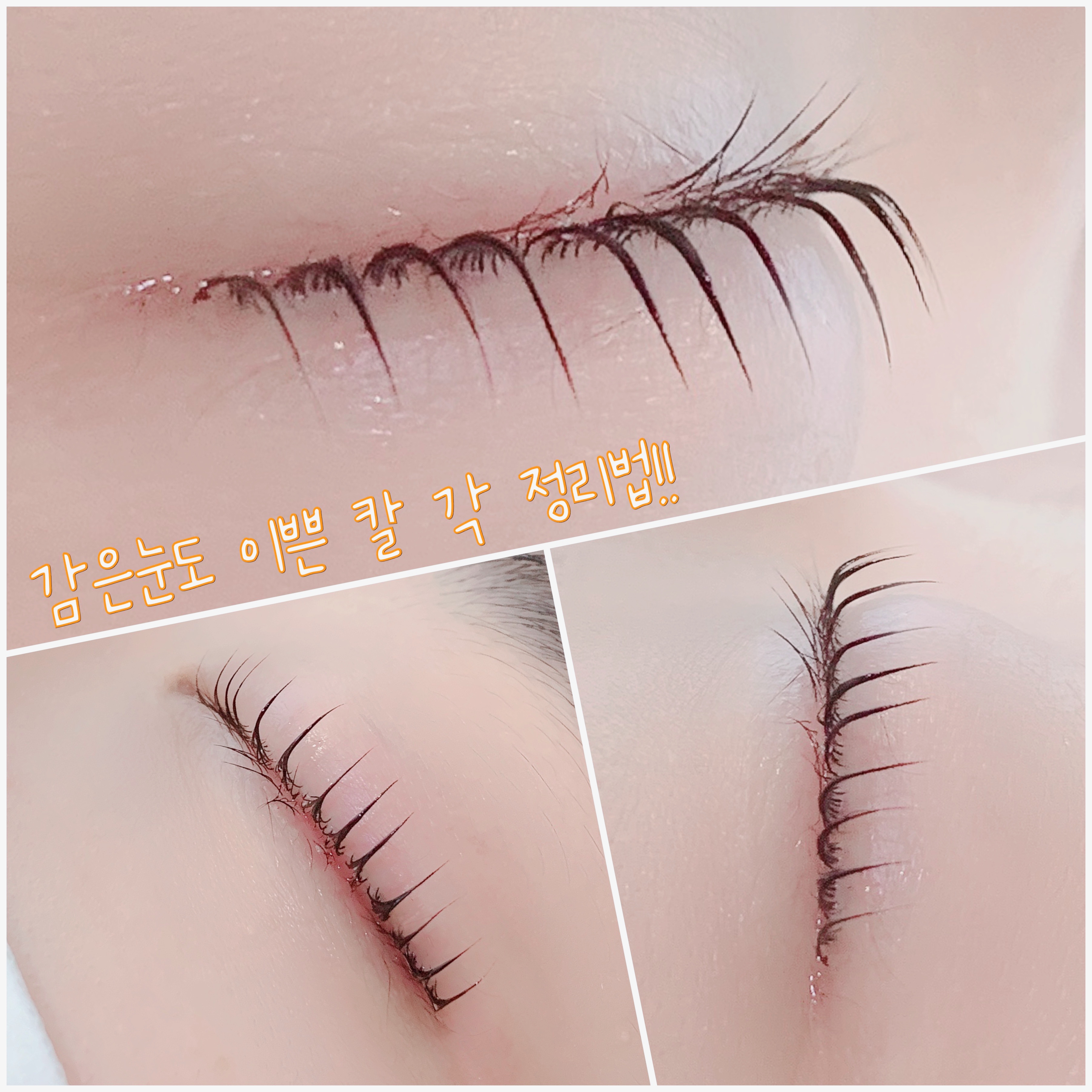 아끌래쉬