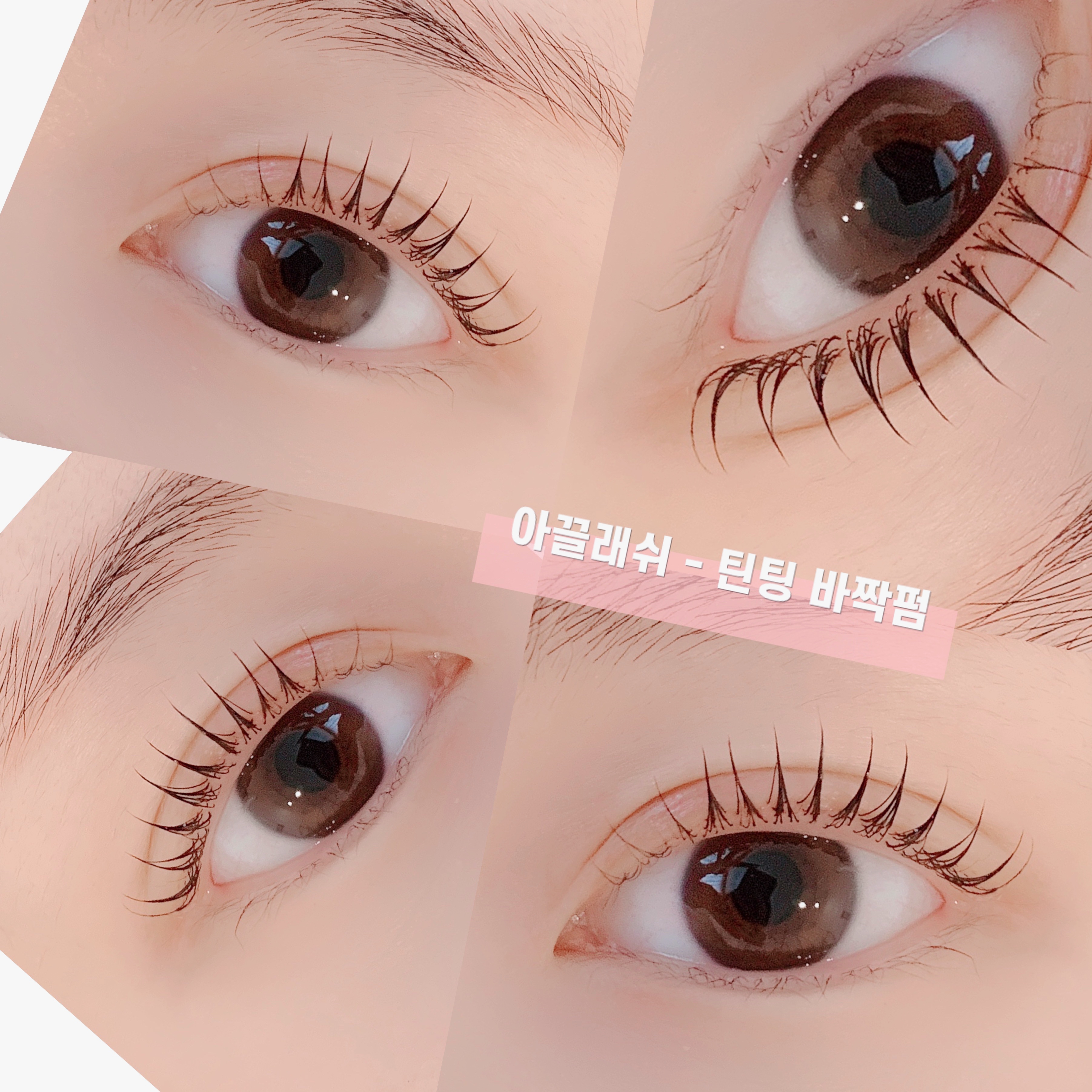 아끌래쉬