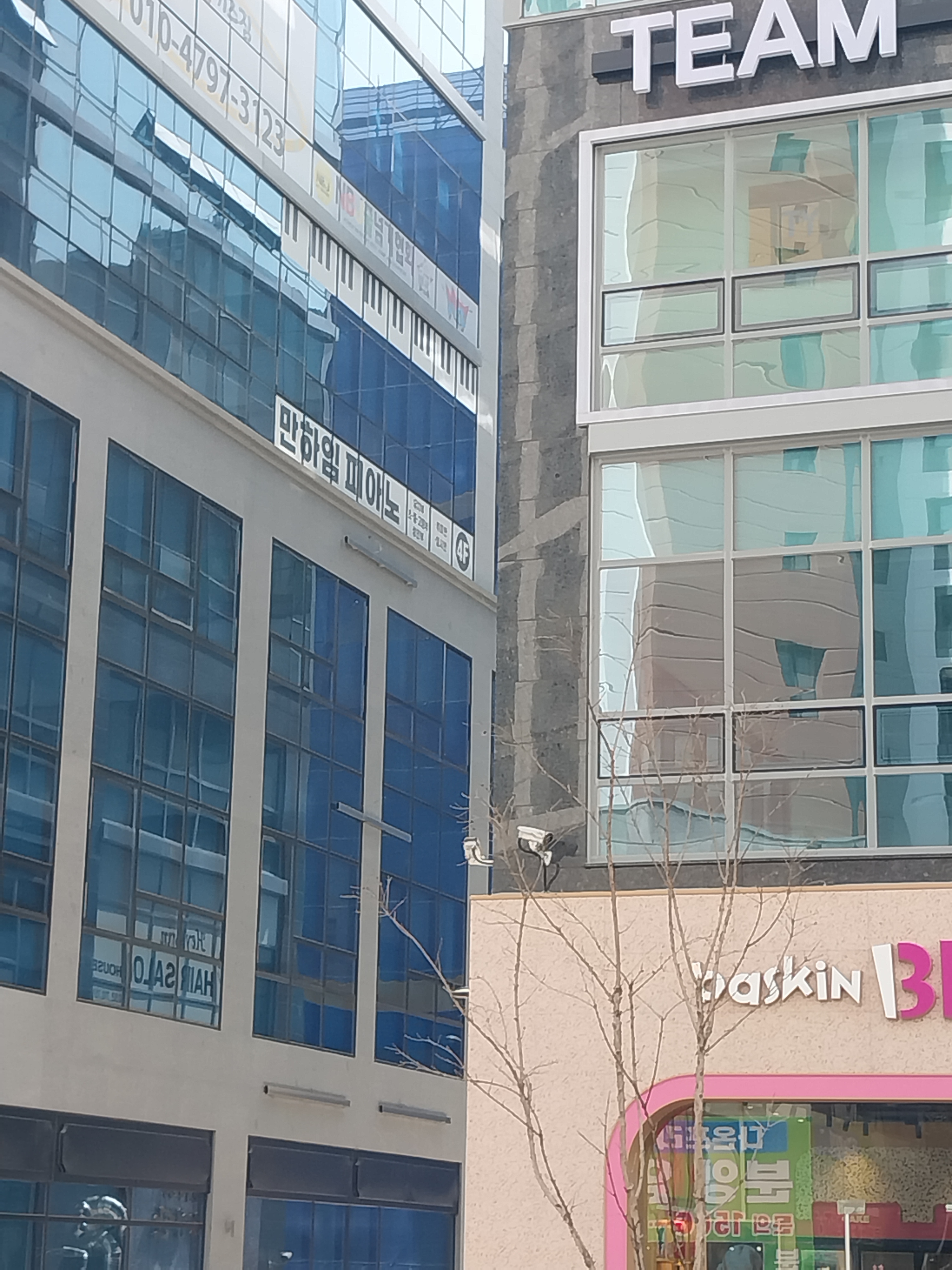 만하임피아노교습소