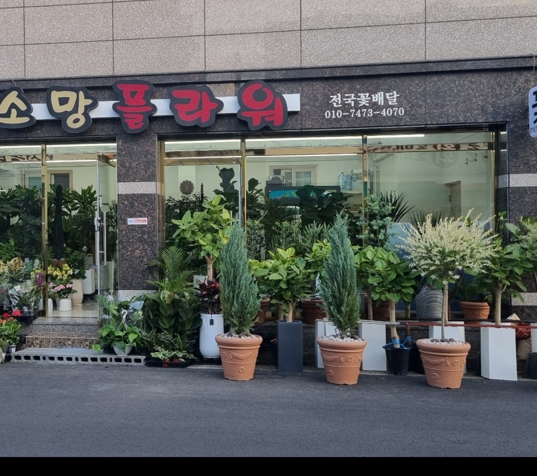 소망플라워