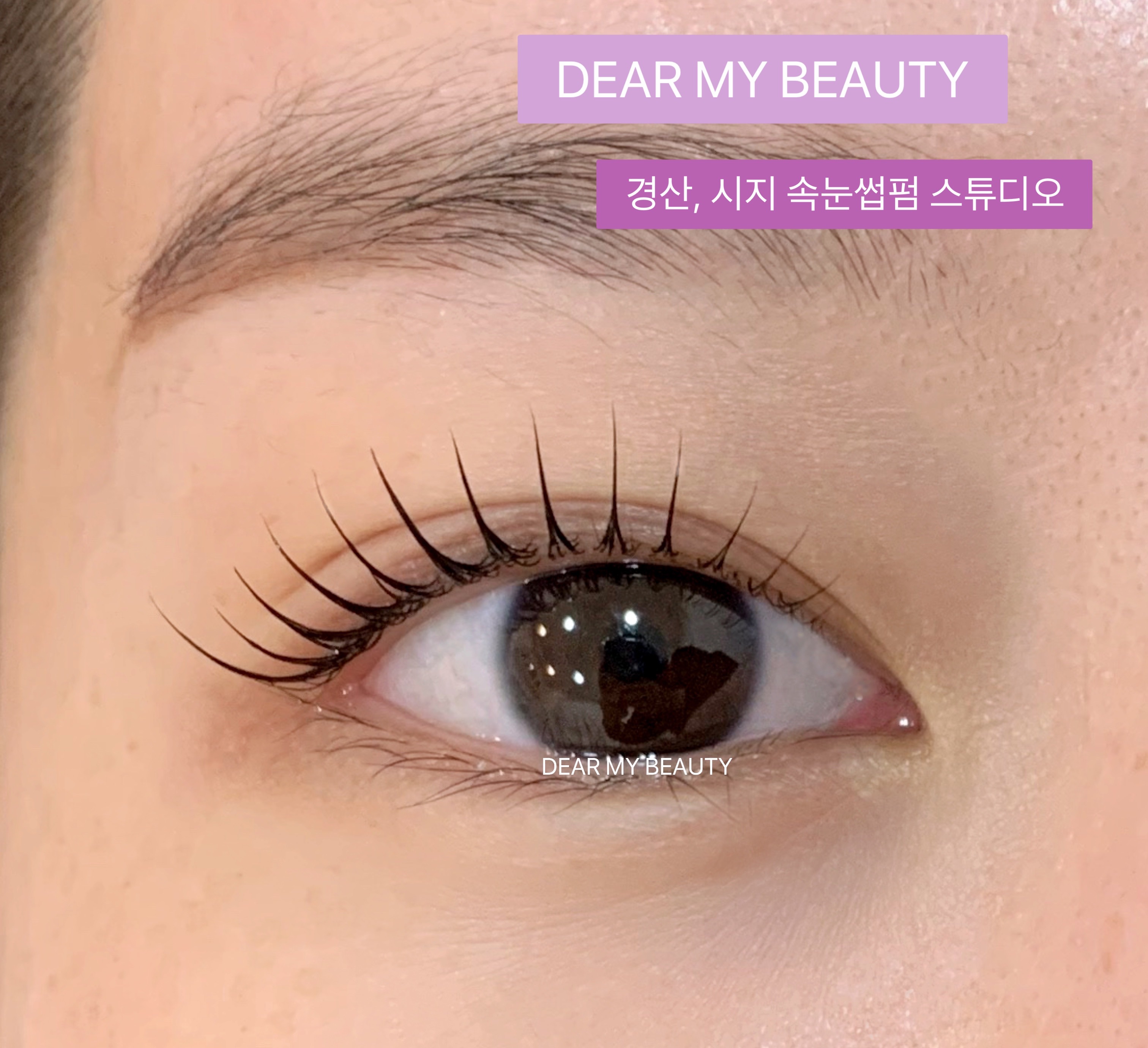 디어마이뷰티