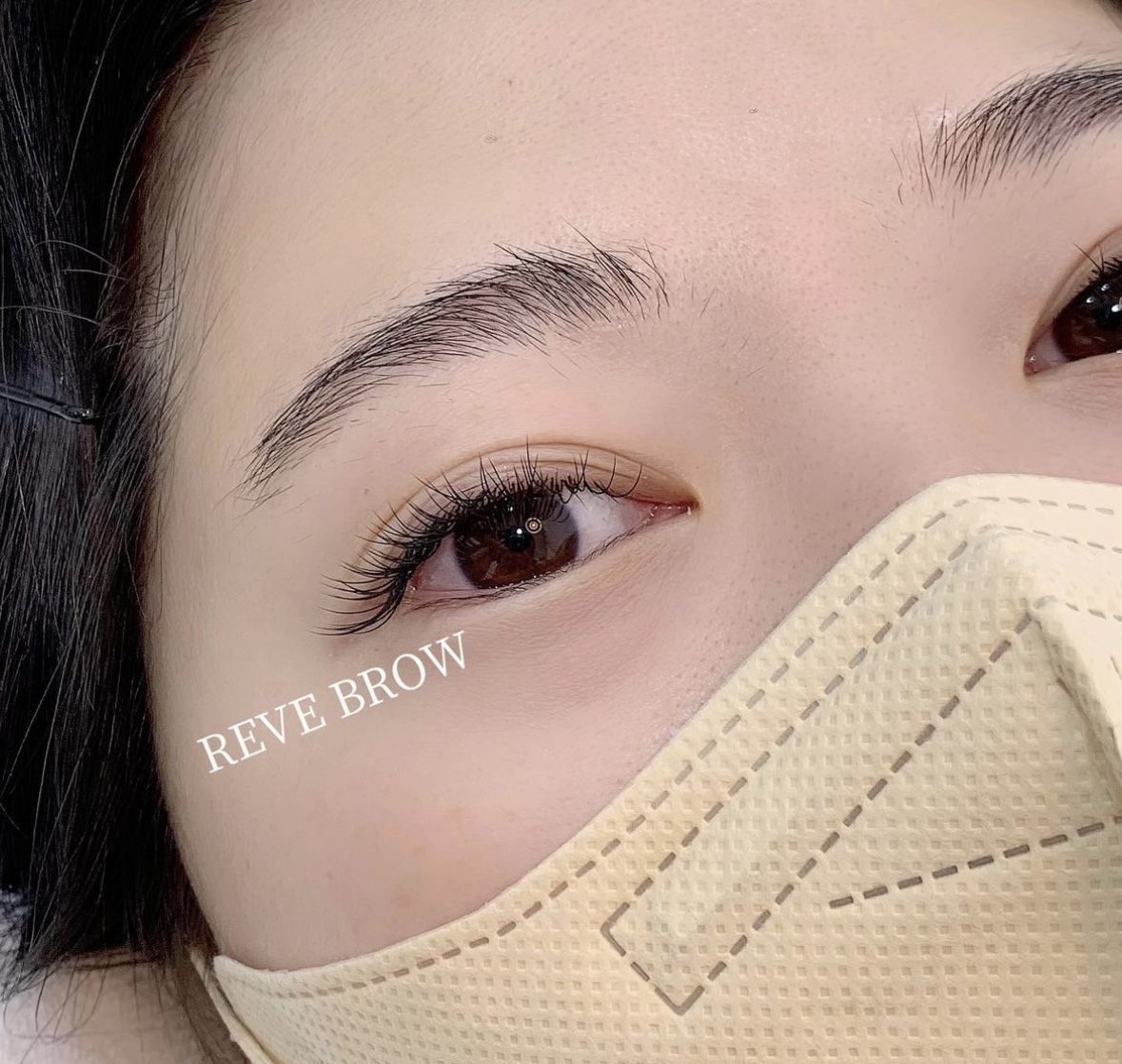 레브브로우