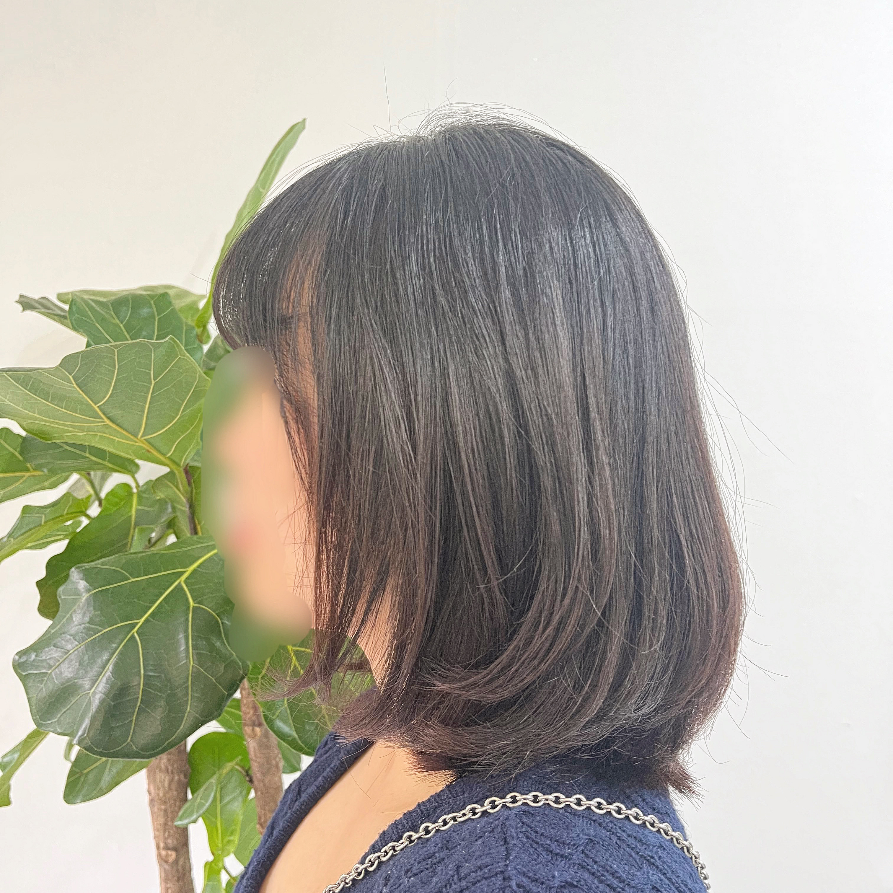 헤레이스헤어