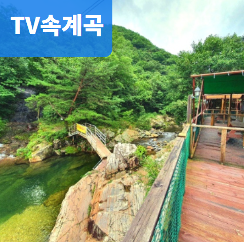 포시즌밸리 계곡애견펜션 대표 이미지