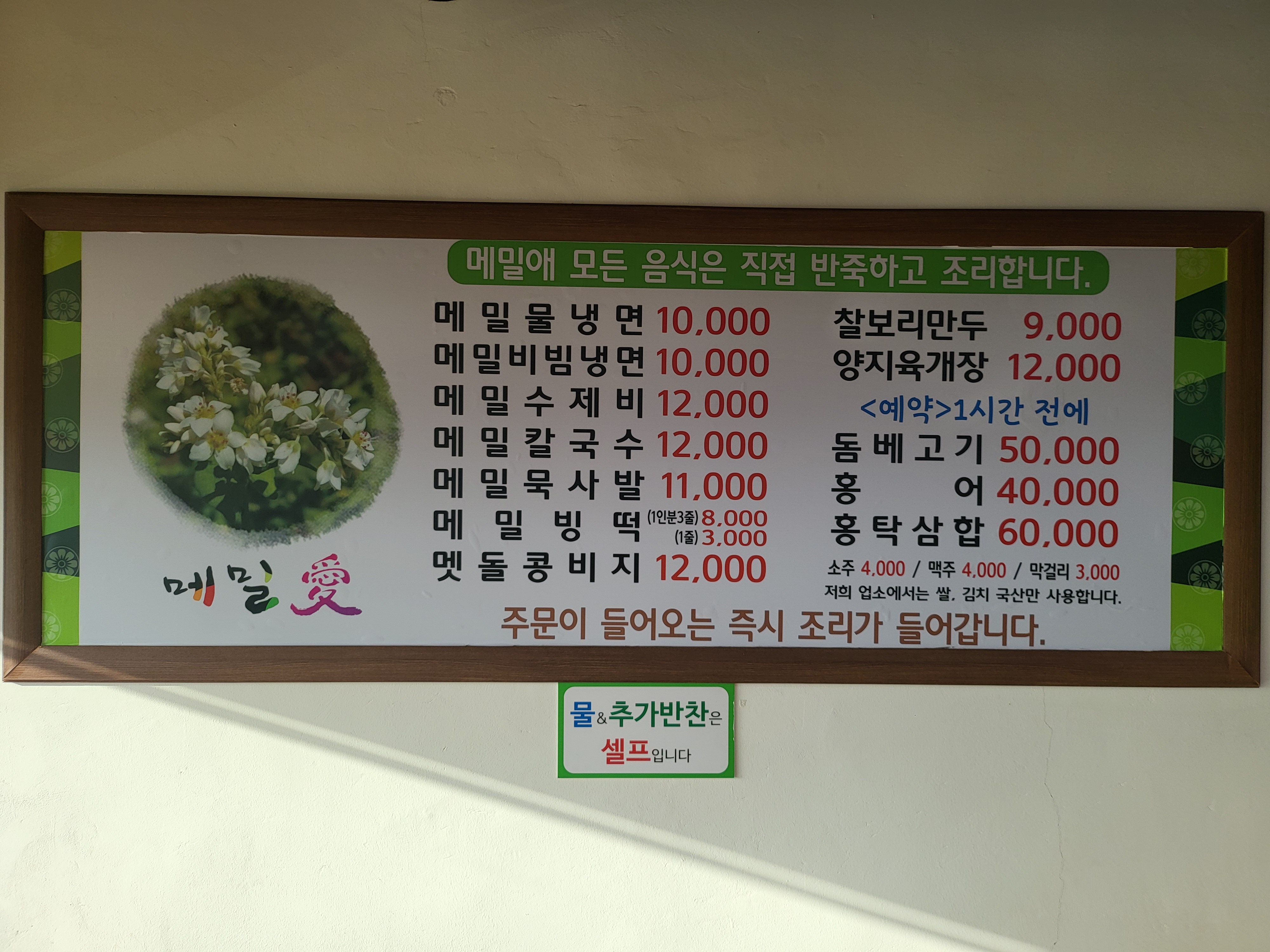 메밀애