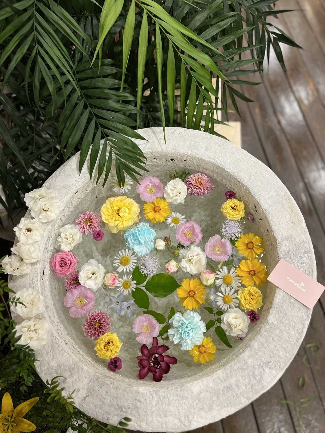 마이부티크 설명사진
