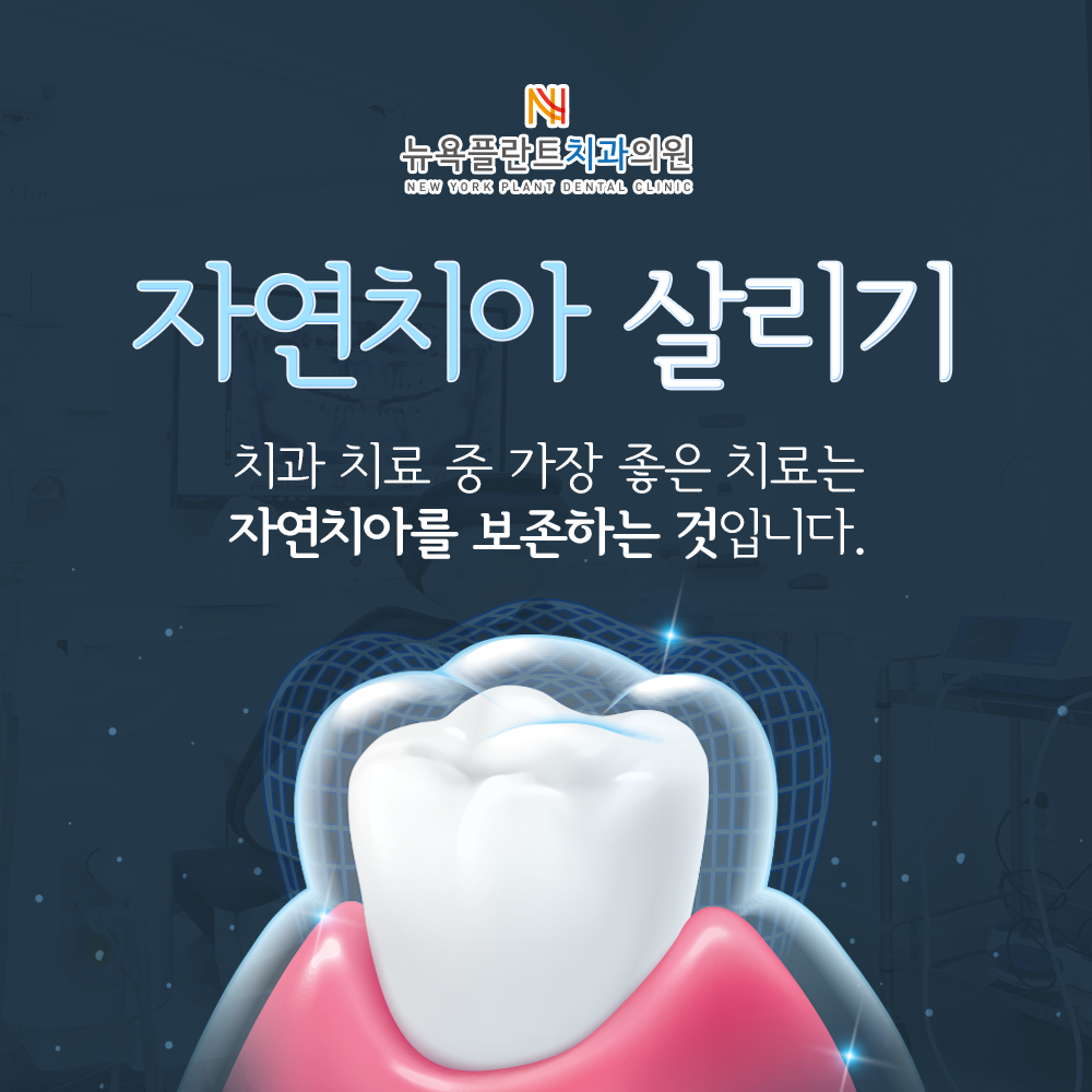 뉴욕플란트치과의원