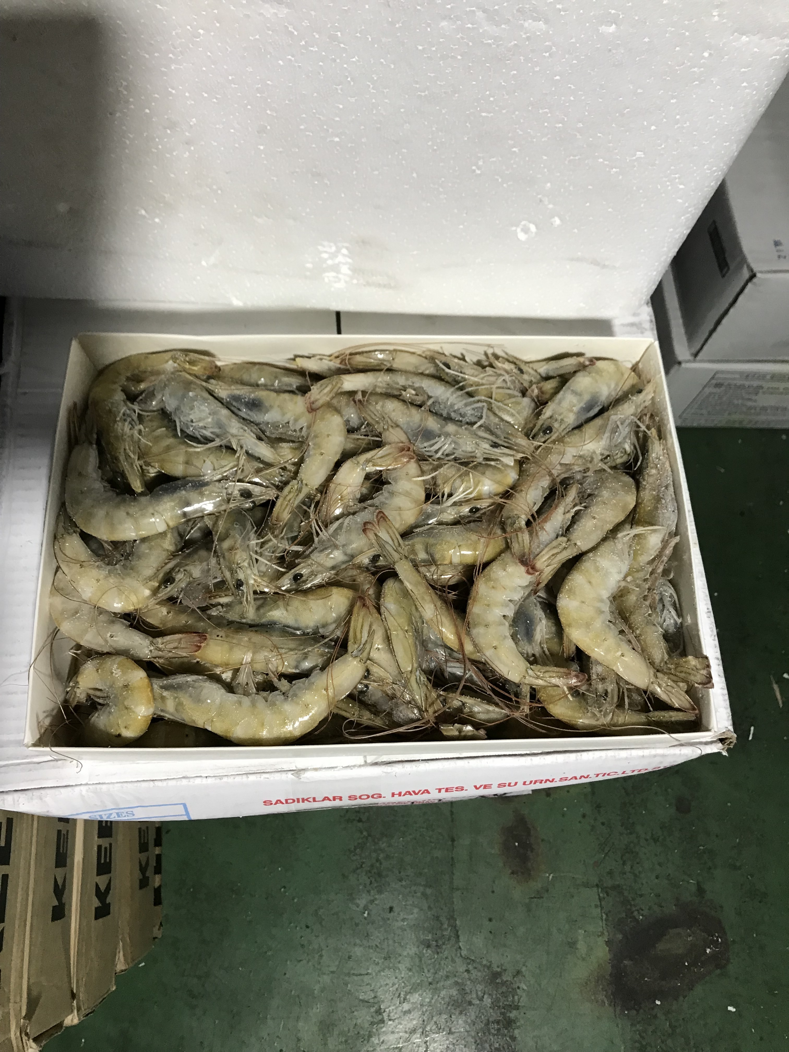 거성씨푸드