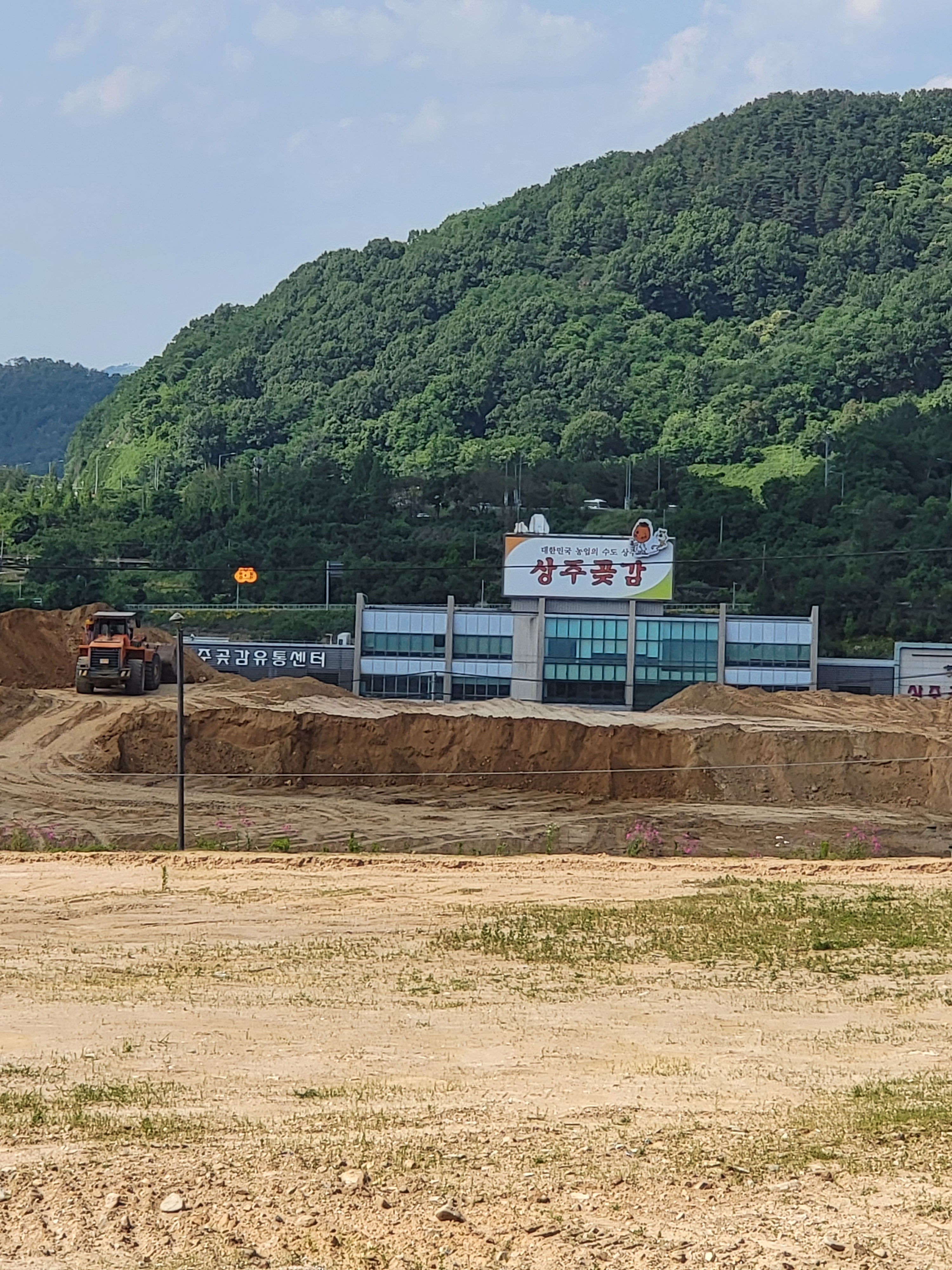 천명개발