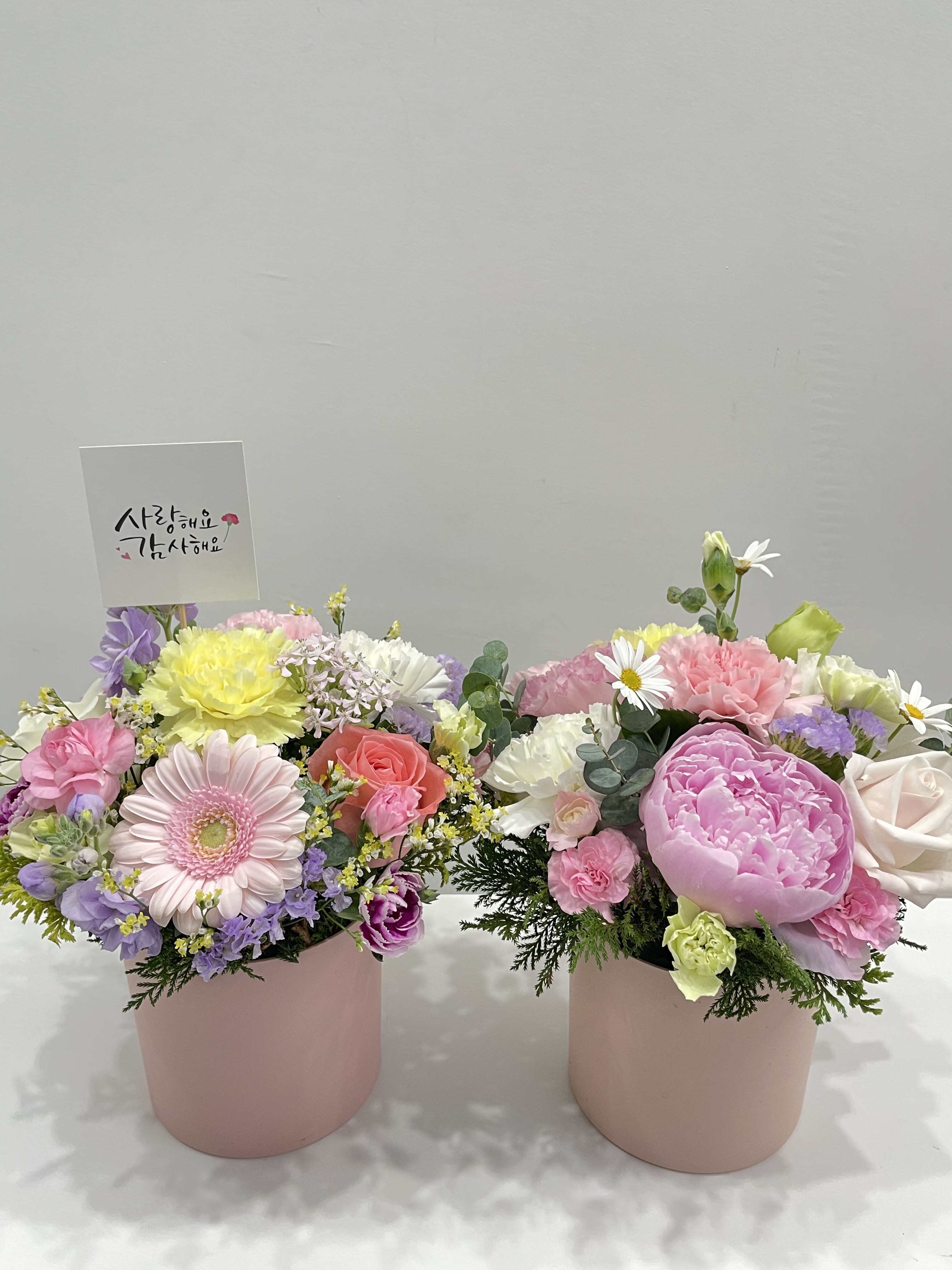 럭키꽃식물원