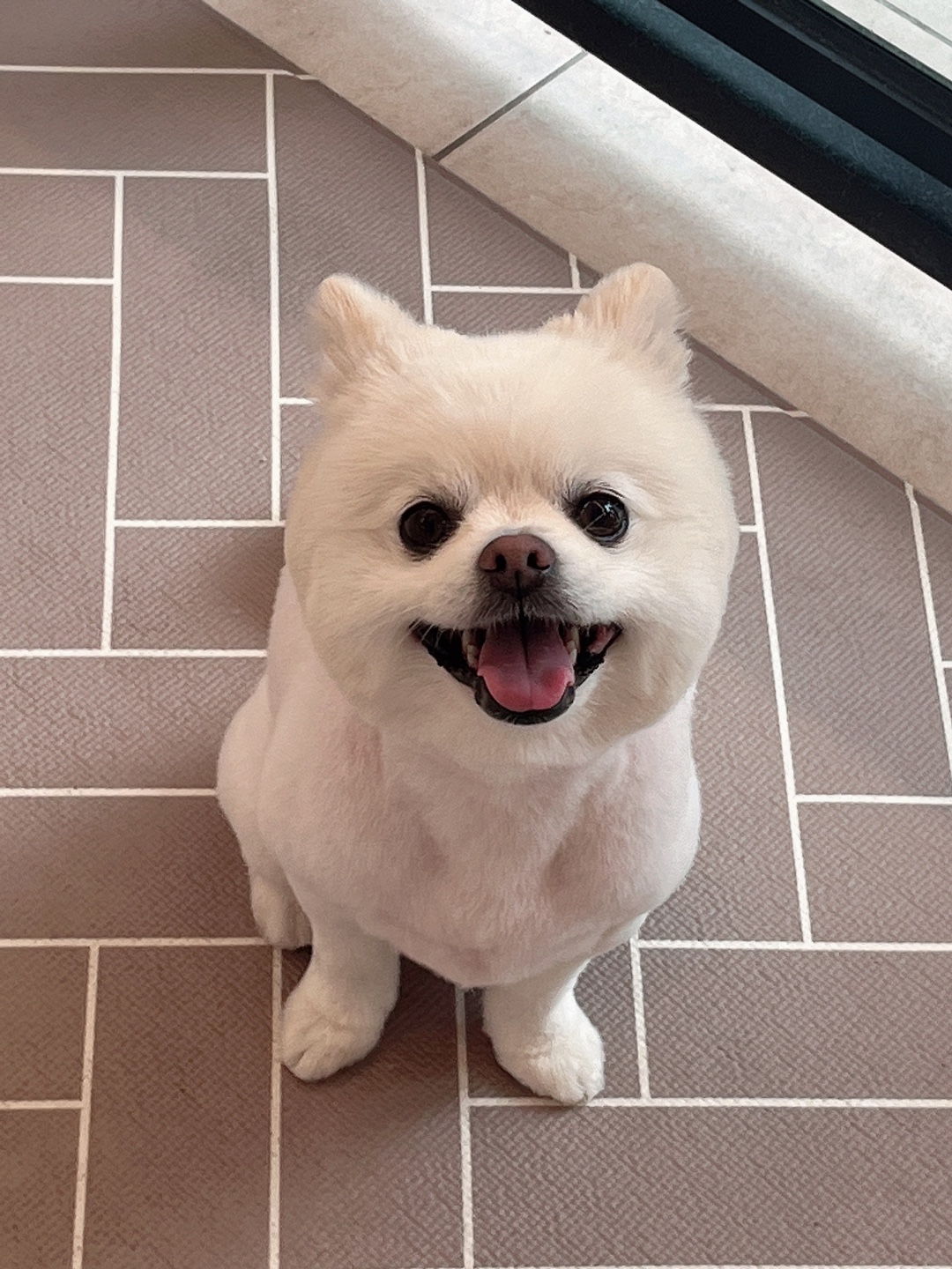 개스맨