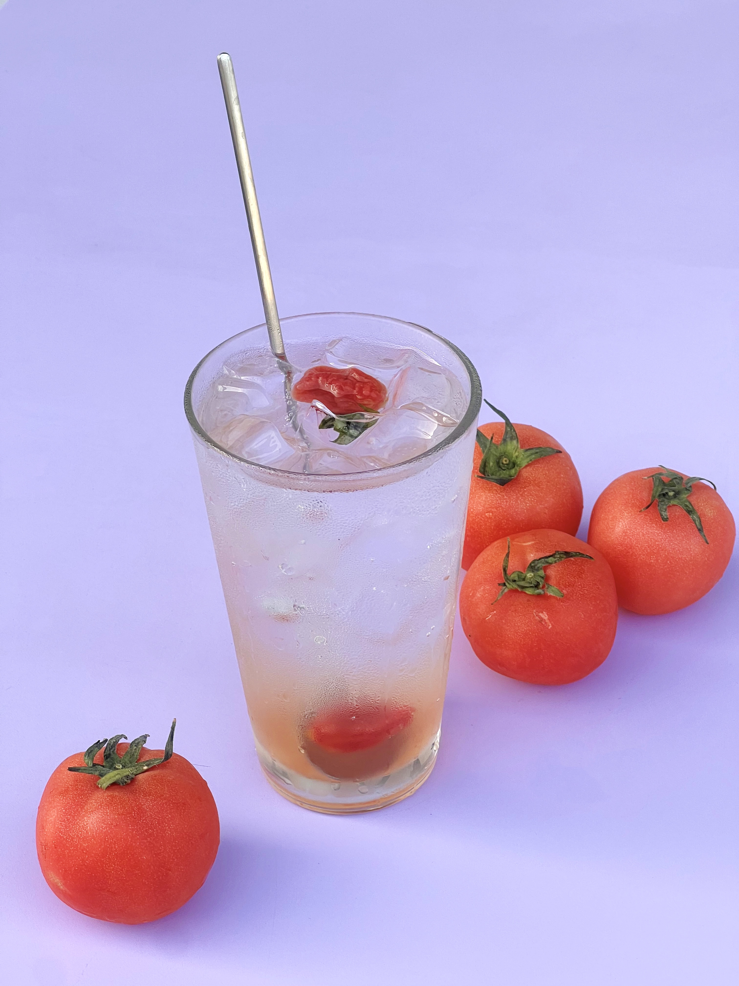 유니버스데이 서울 애견맛집