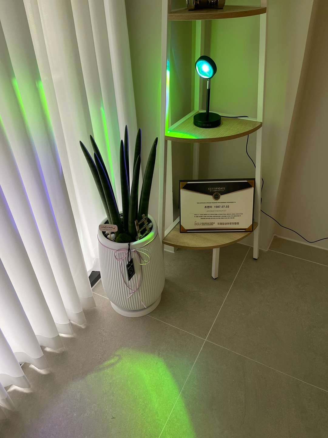 테라피온 photo 5