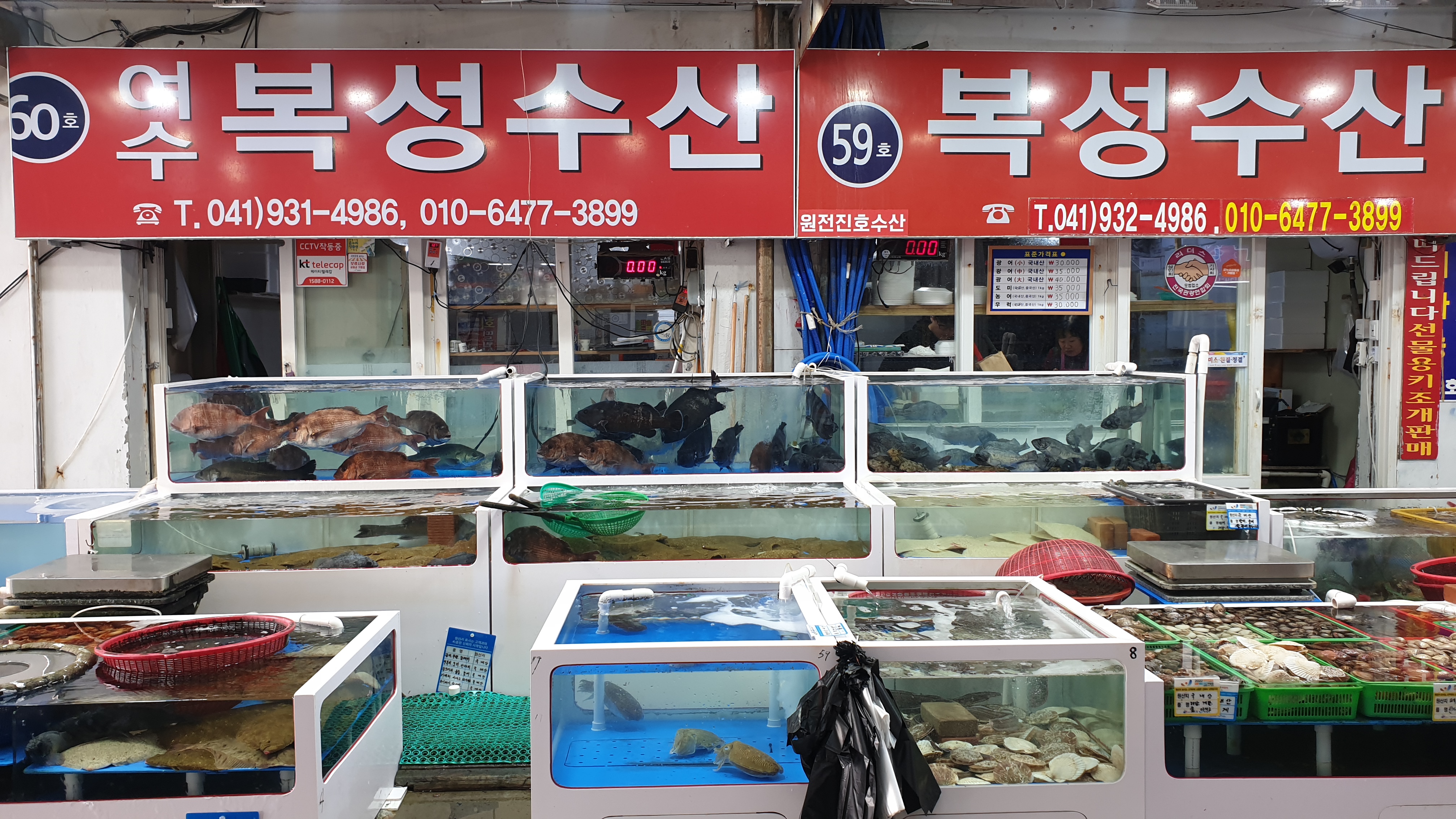 복성수산