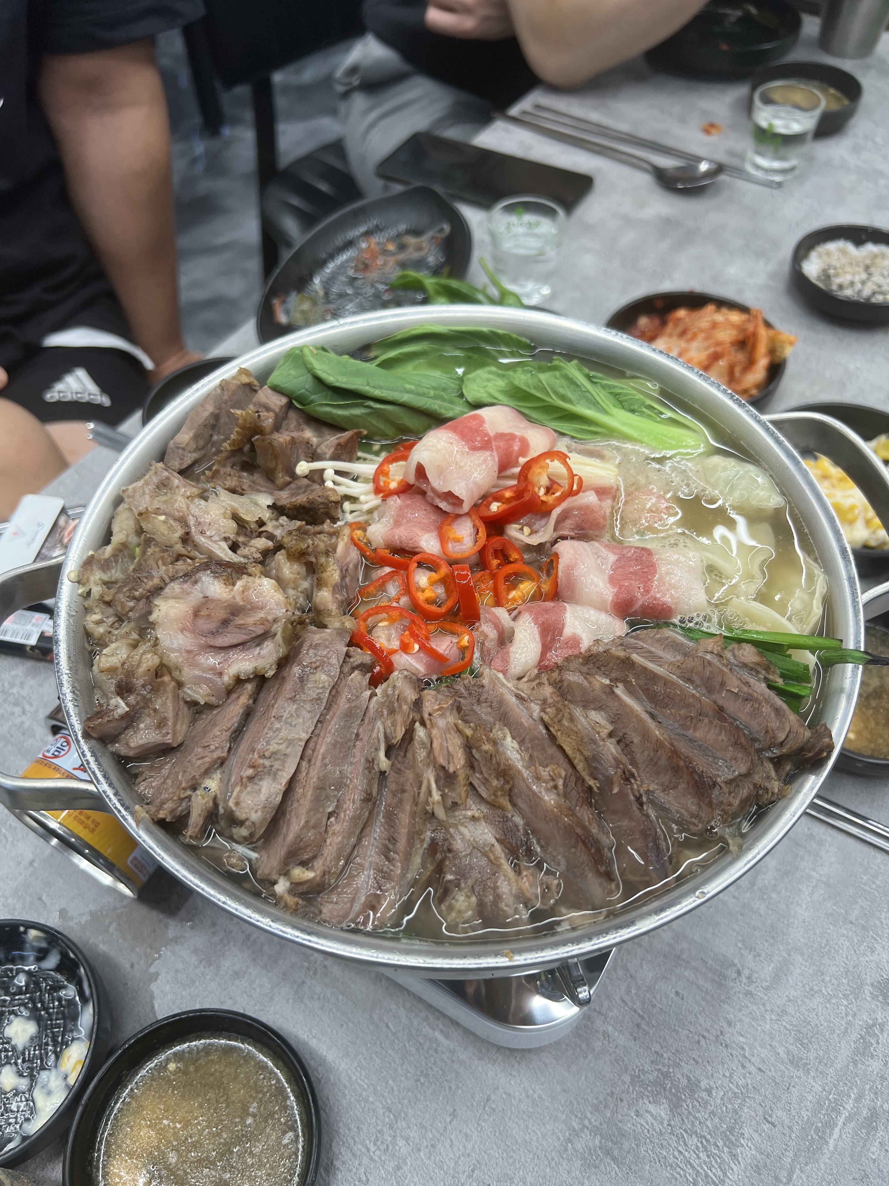 스지사태 반려동물 동반 애견카페