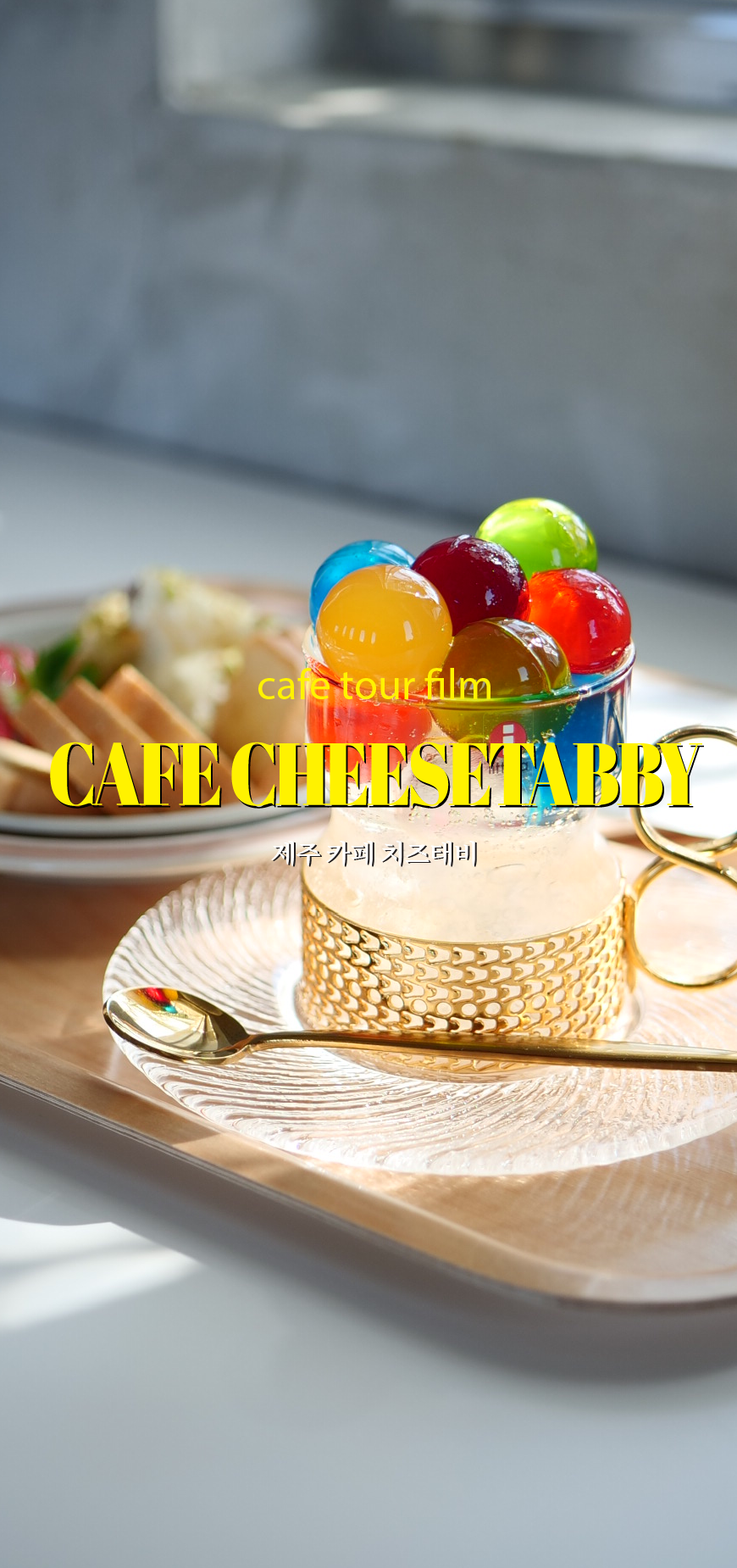 카페 치즈태비