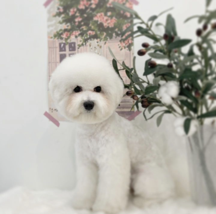 바스인더썬 대표 이미지