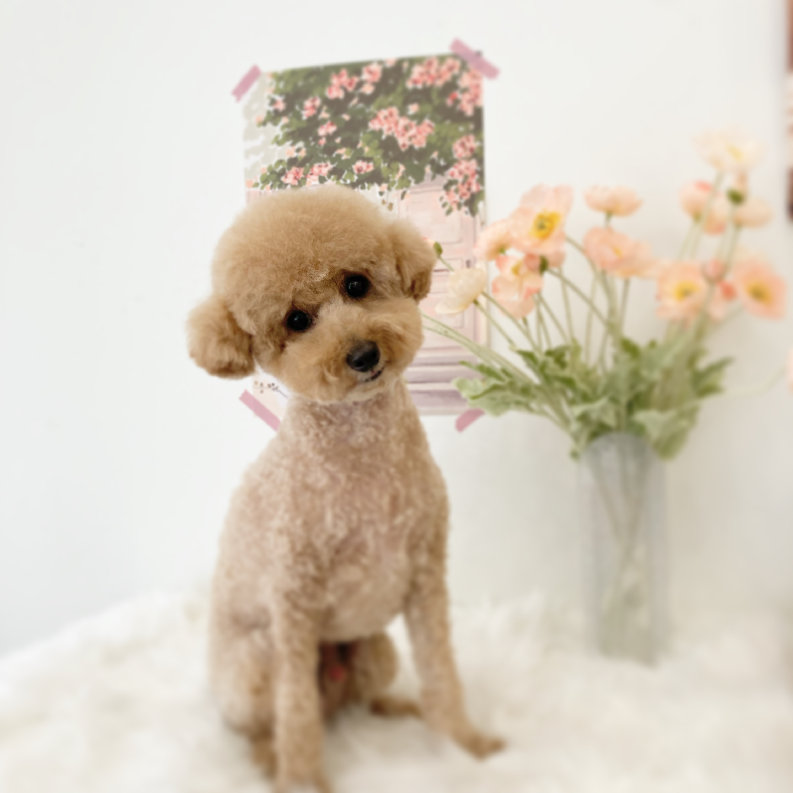 바스인더썬 대표 이미지