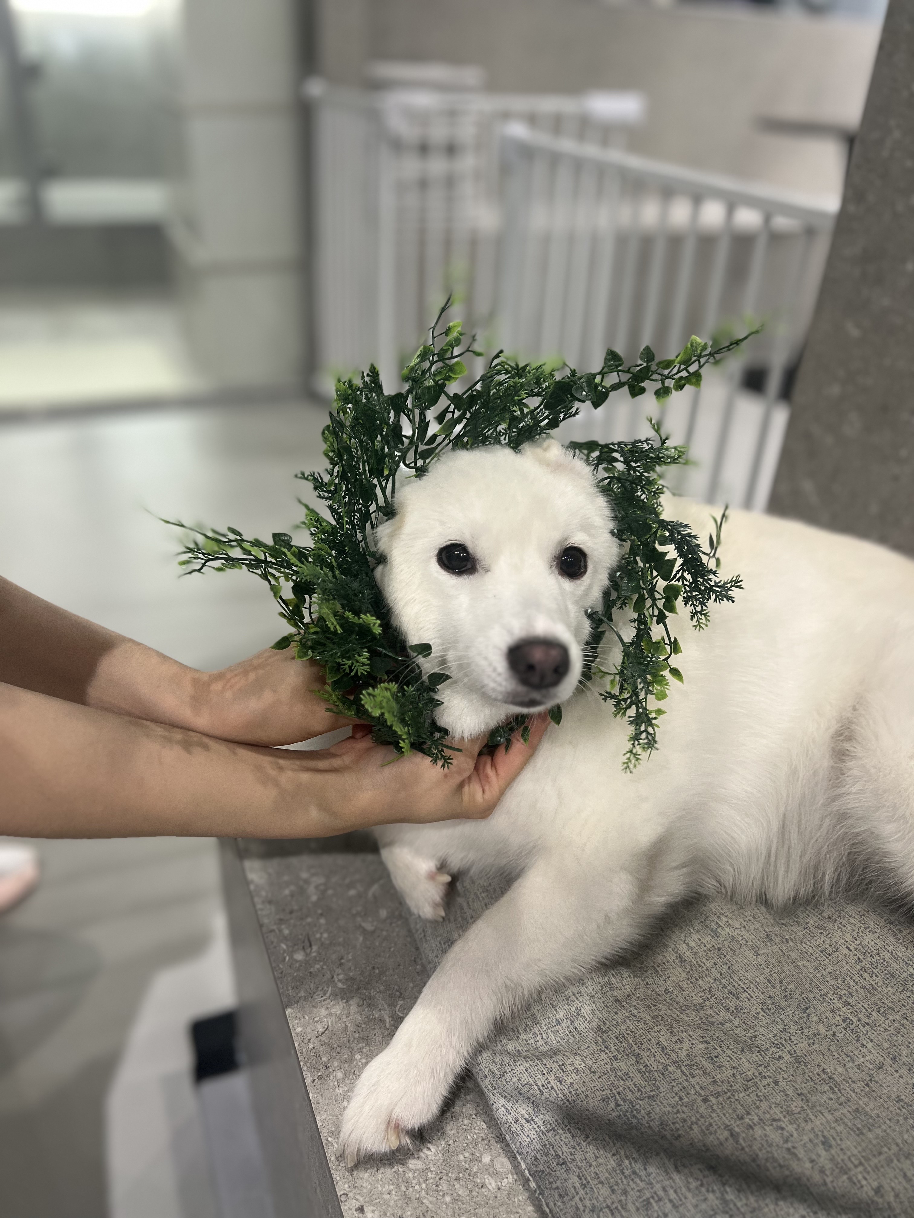 플레이스디 대표 이미지