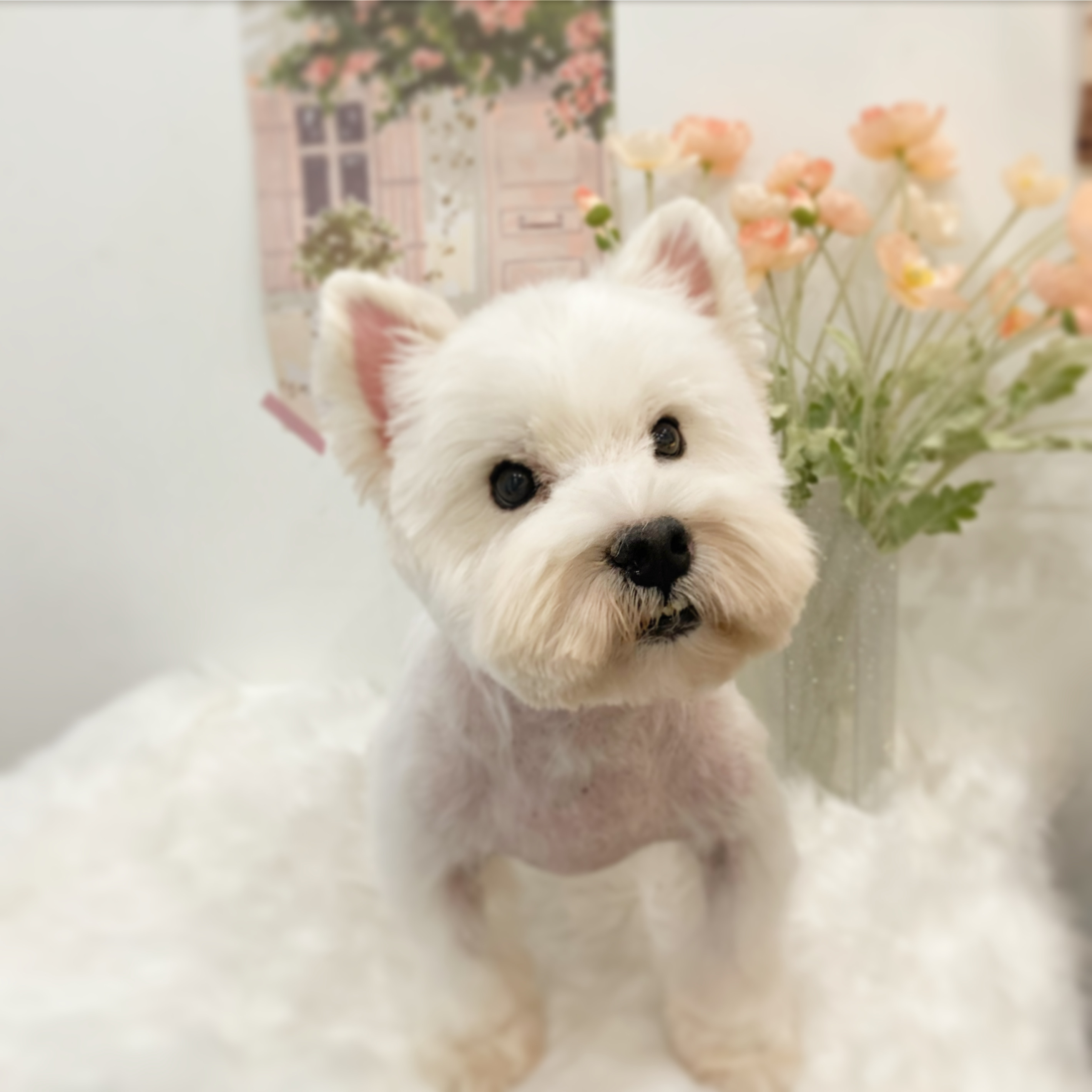 바스인더썬 대표 이미지