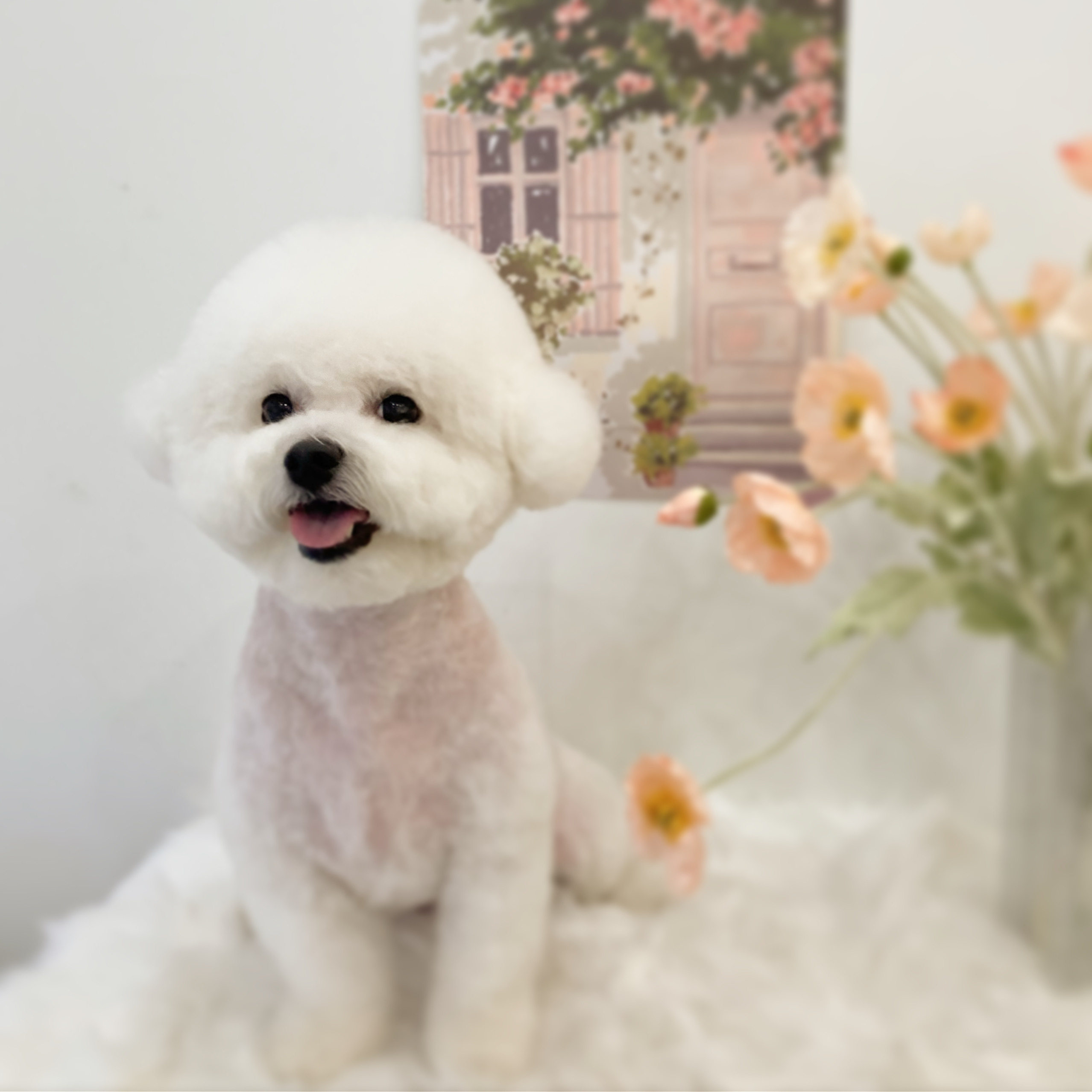 바스인더썬 대표 이미지