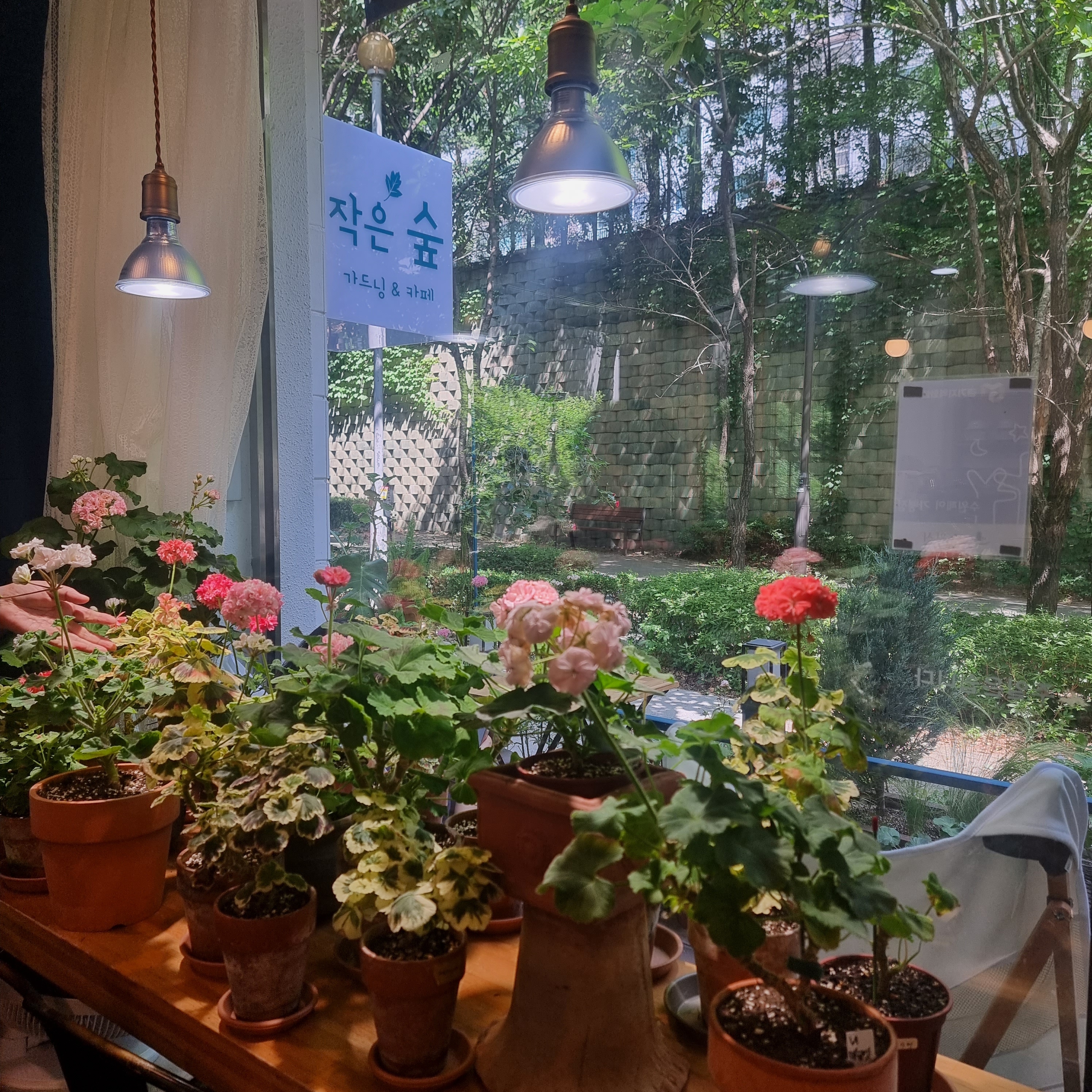 카페작은숲