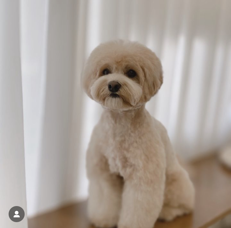 바스인더썬 대표 이미지