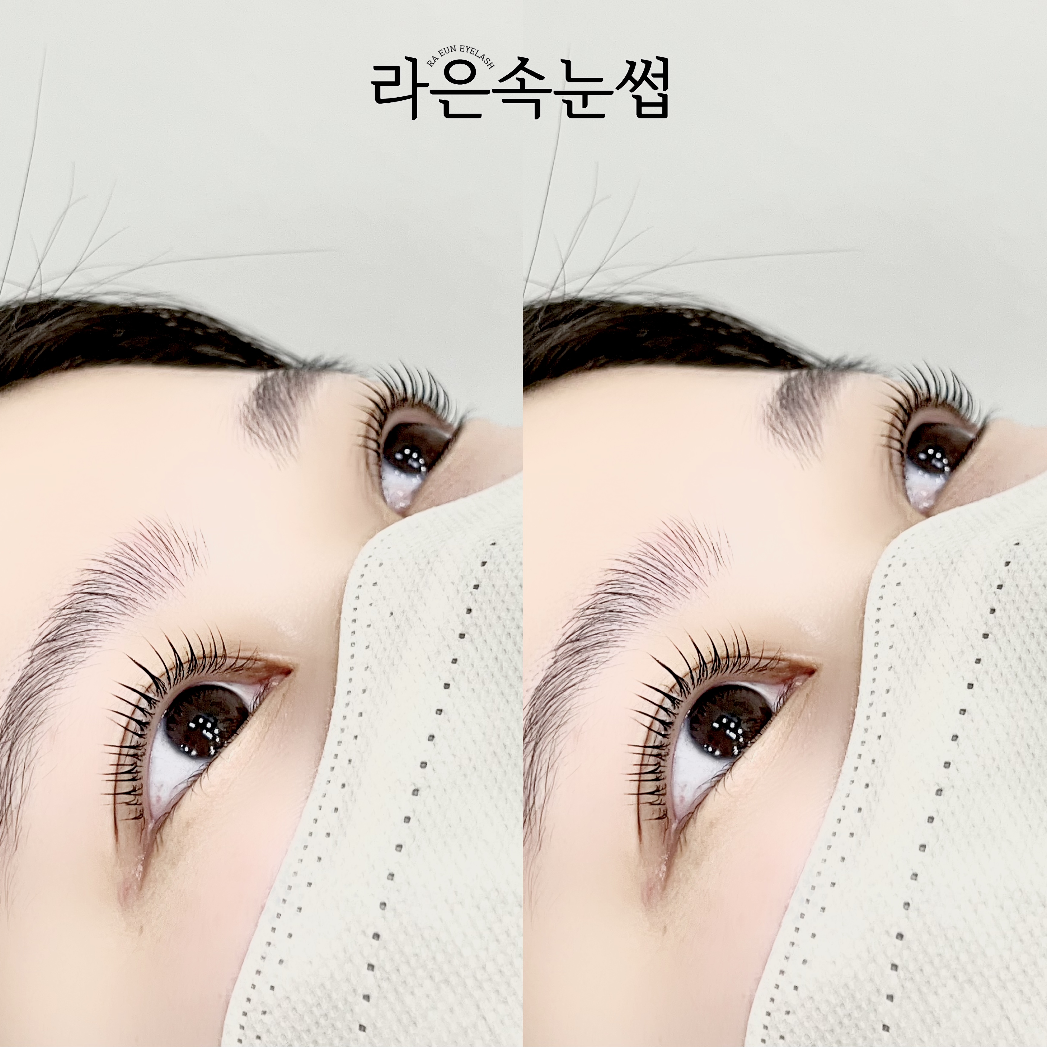 라은속눈썹