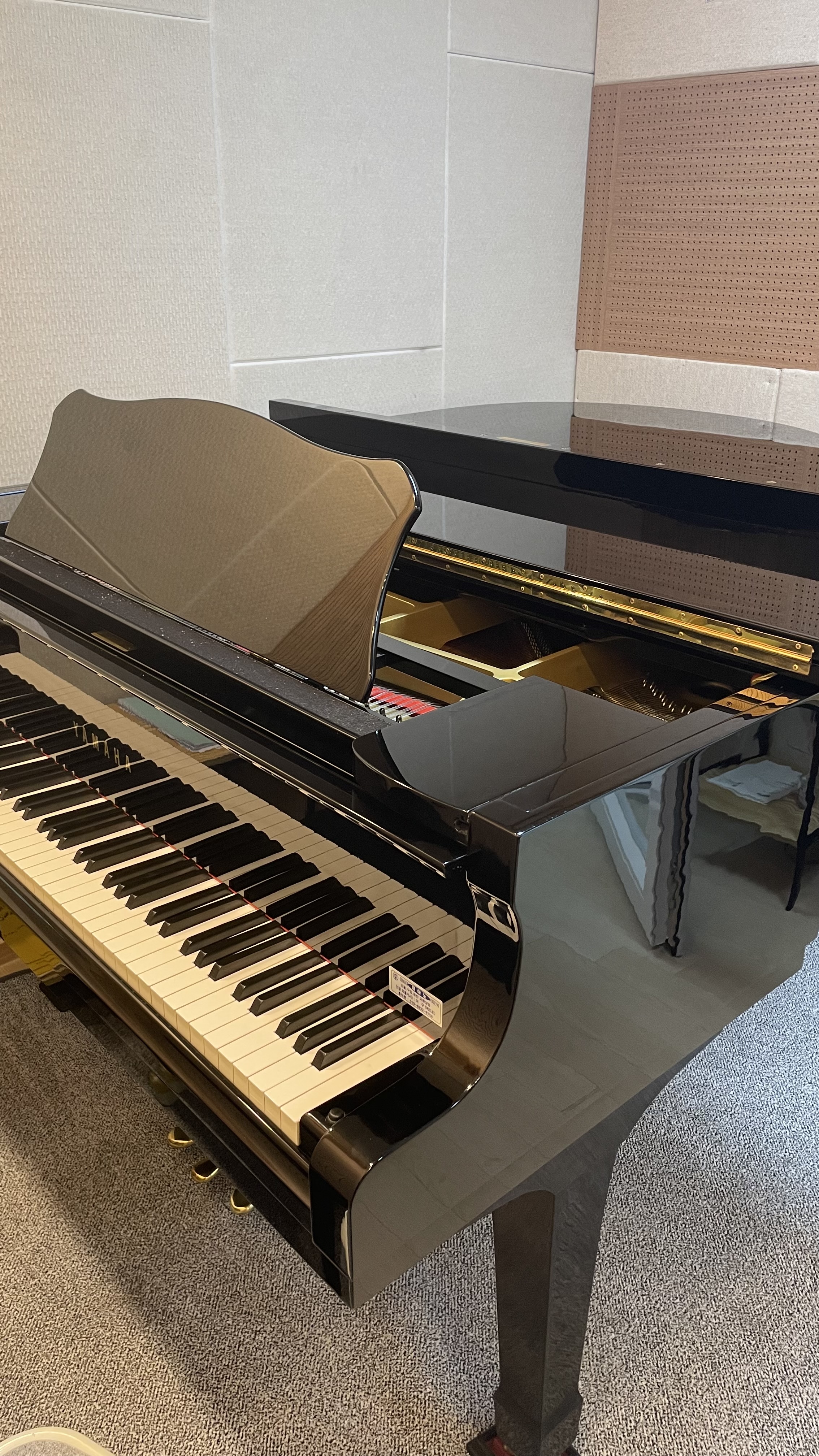 2번째 스튜디오 사진