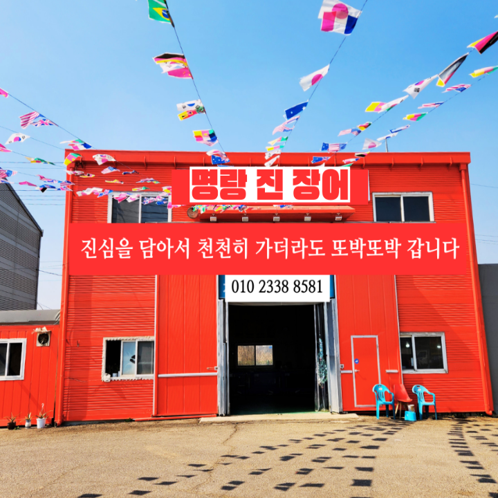명랑진장어