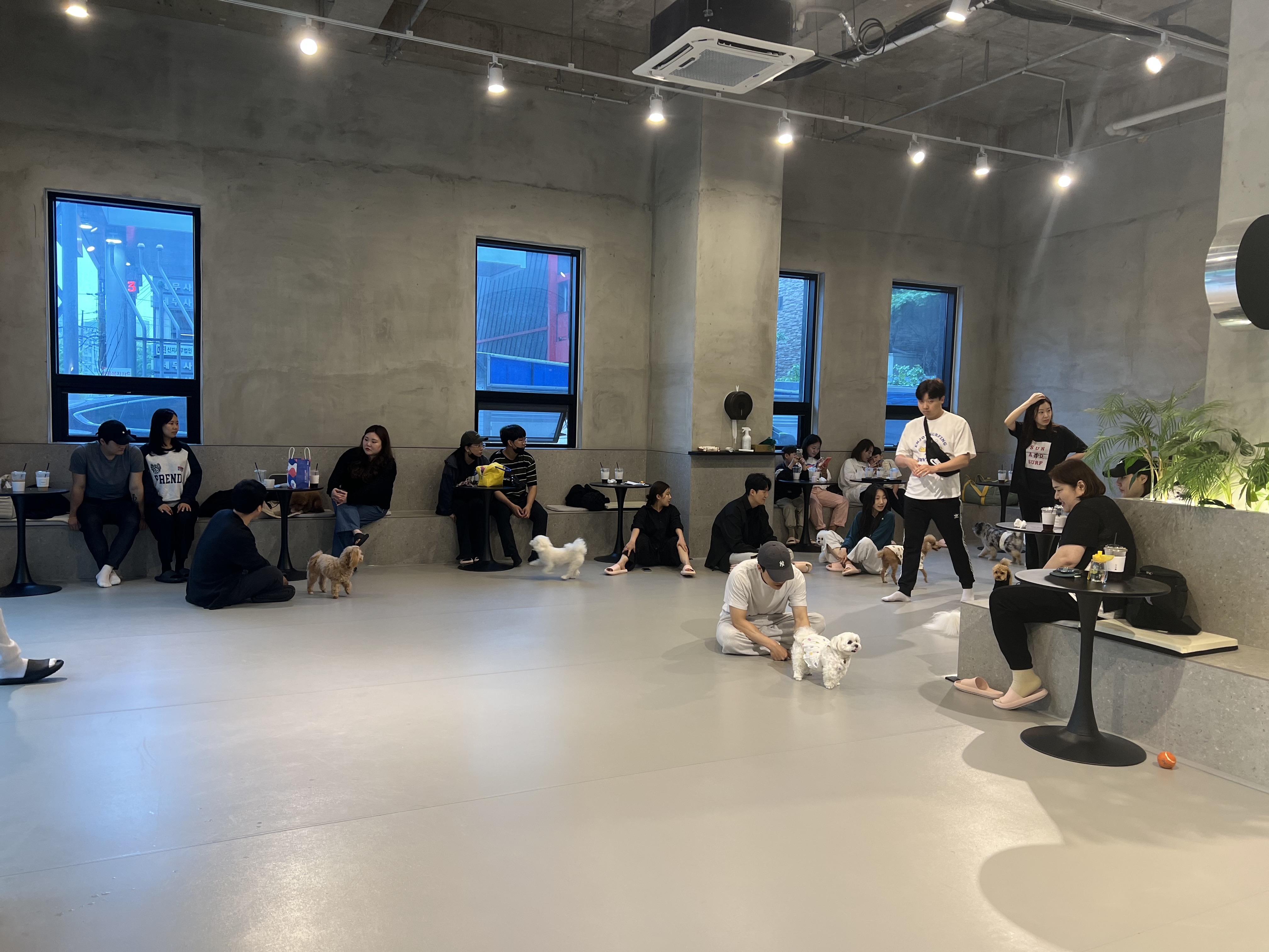 플레이스디 대표 이미지